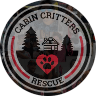 Cabin Critters Rescue