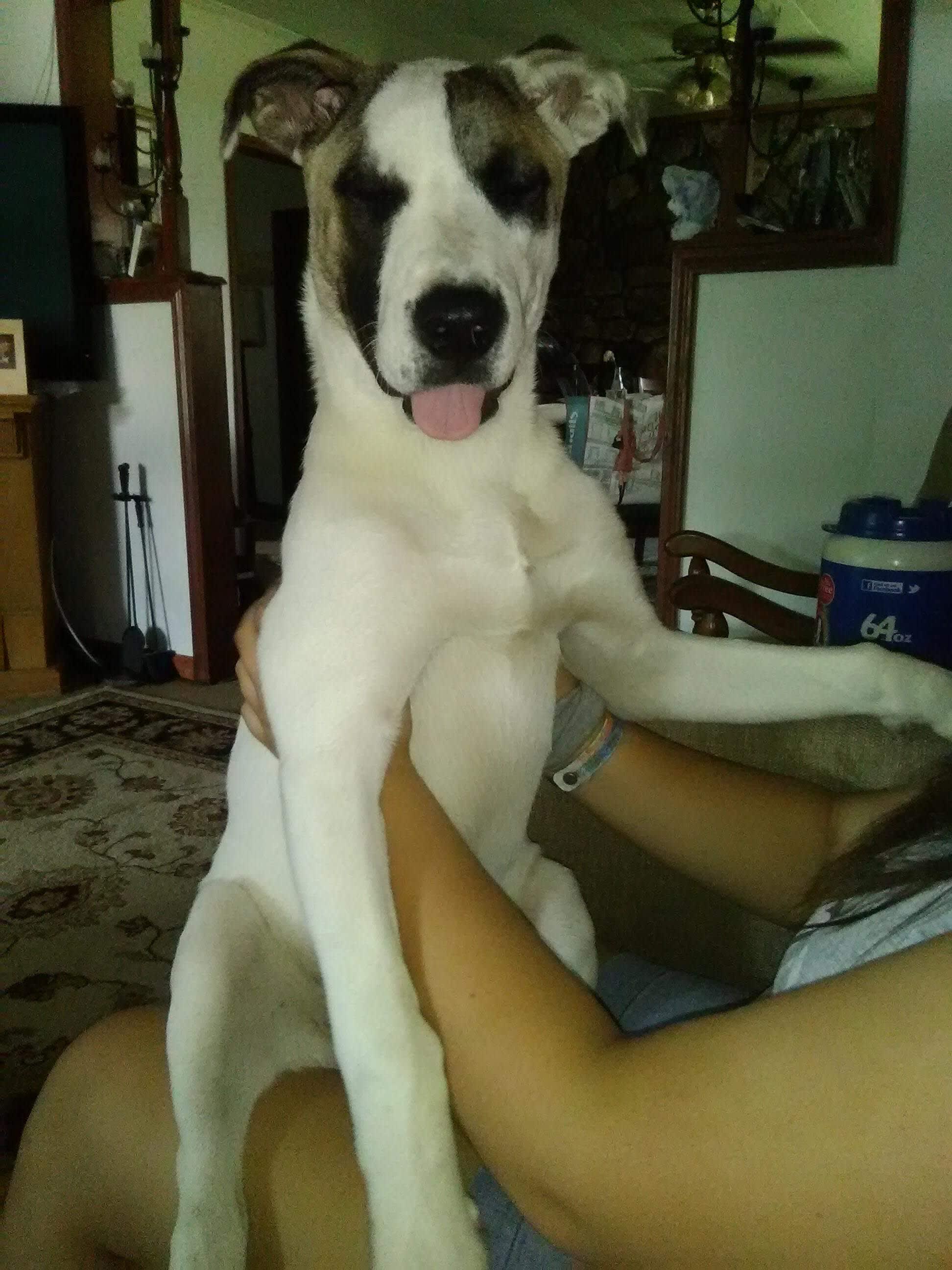 Cami