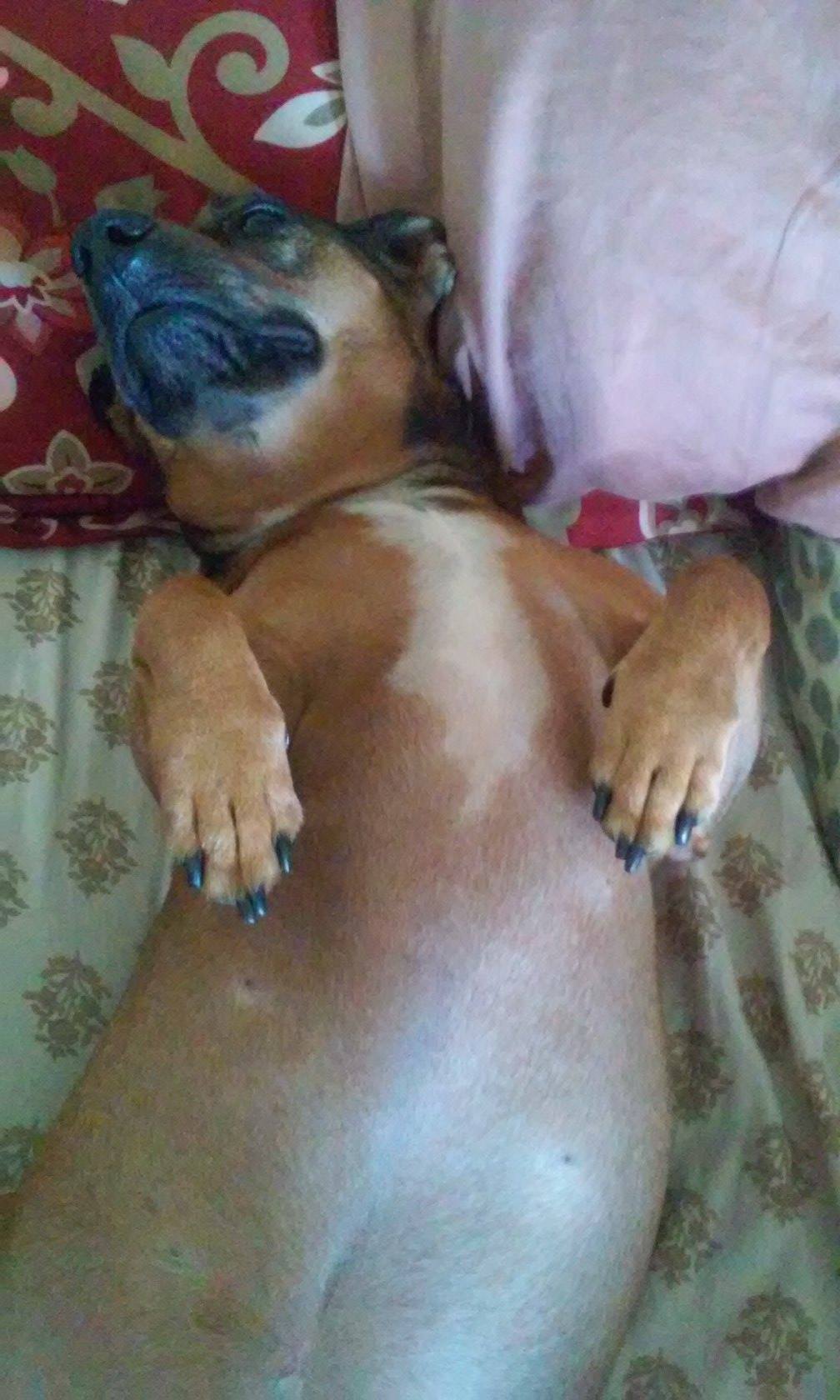 Bella