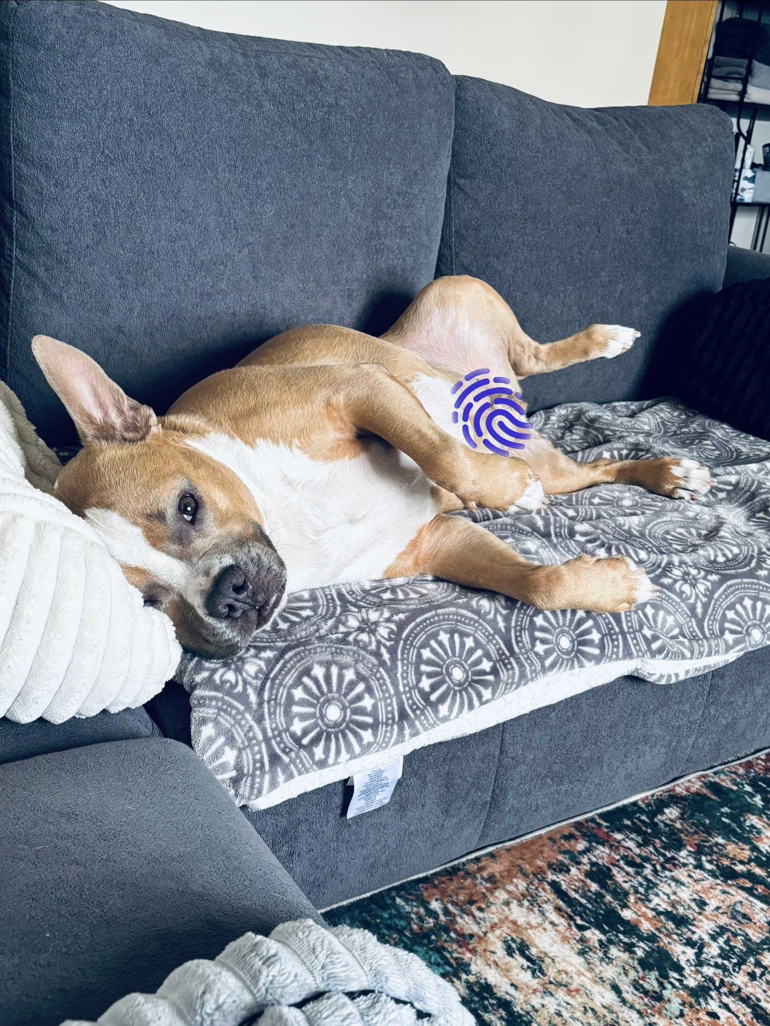 Max