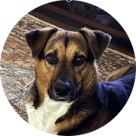 Ichosethdog