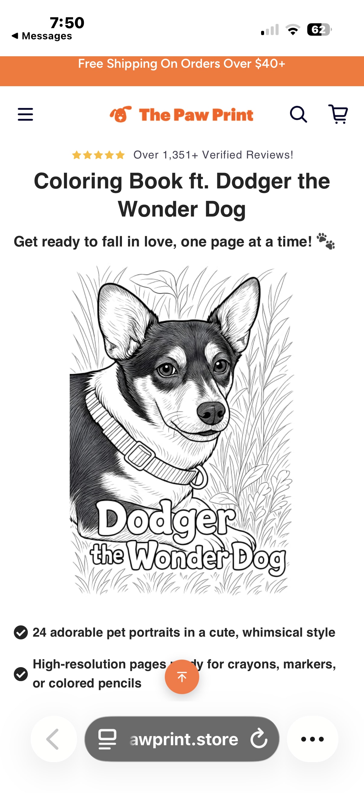 Dodger the Wonder Dog