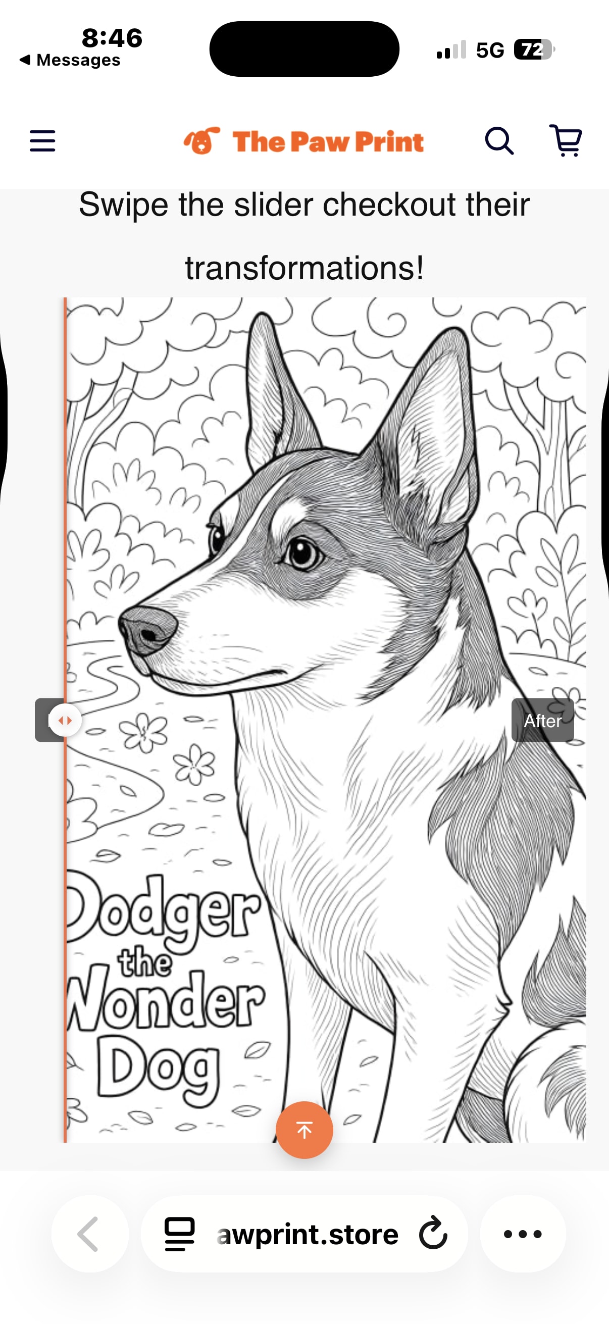 Dodger the Wonder Dog