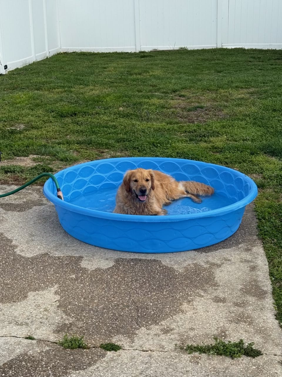 Benny