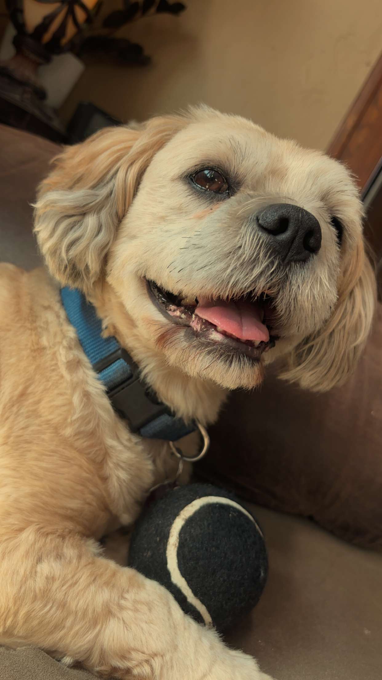 Oakley
