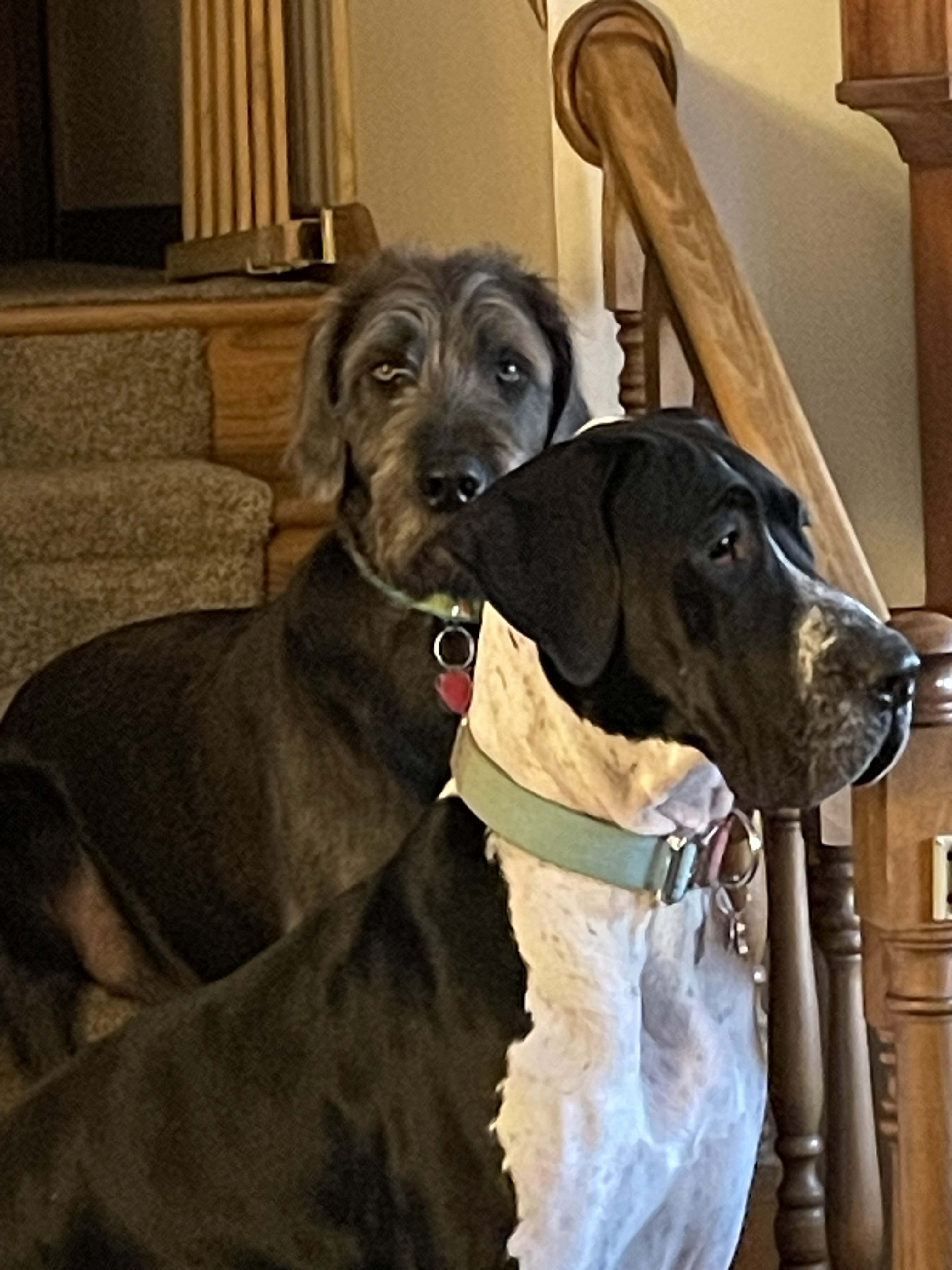 Winston and Daisy