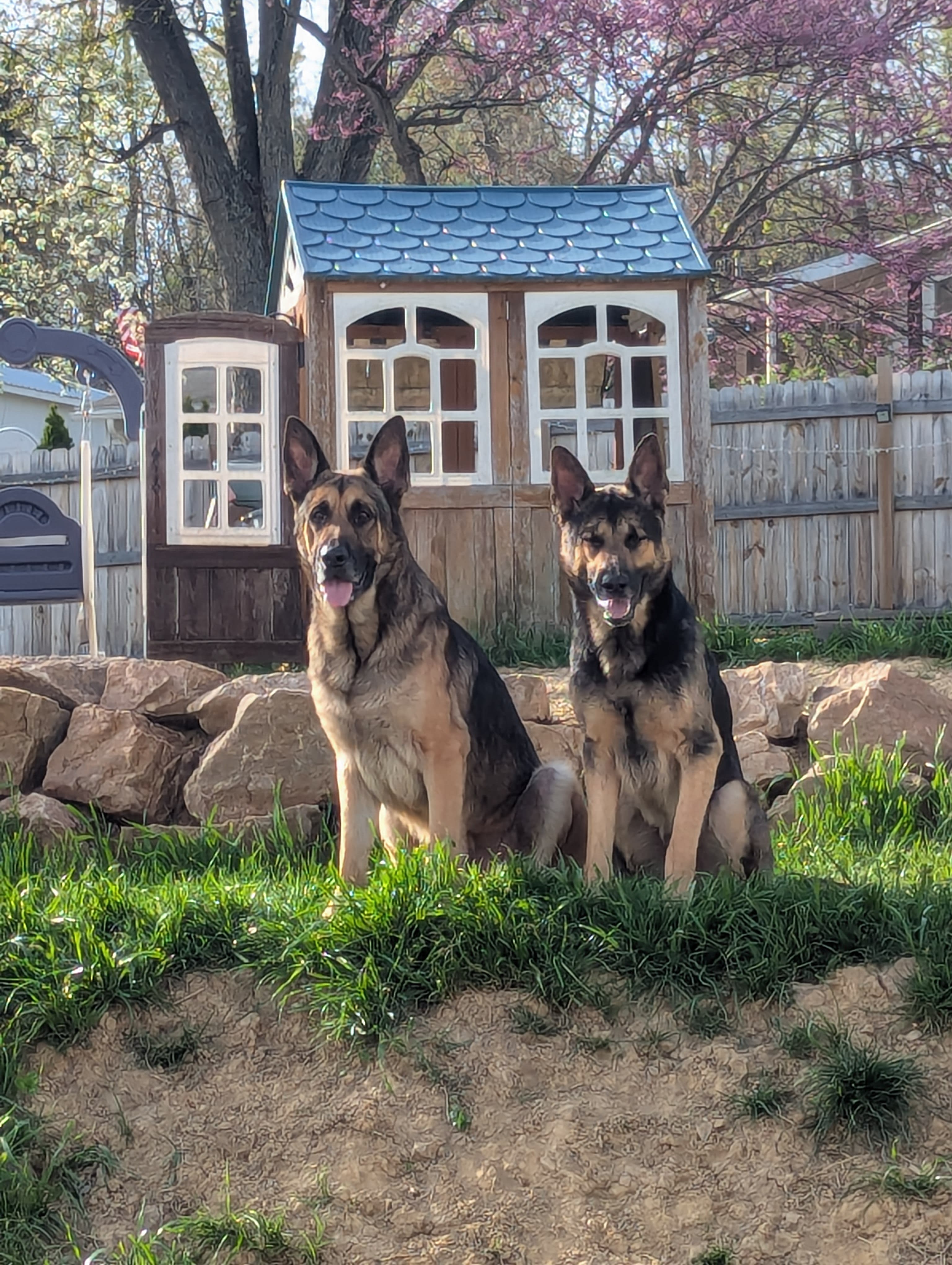 Sarge Major Skye
