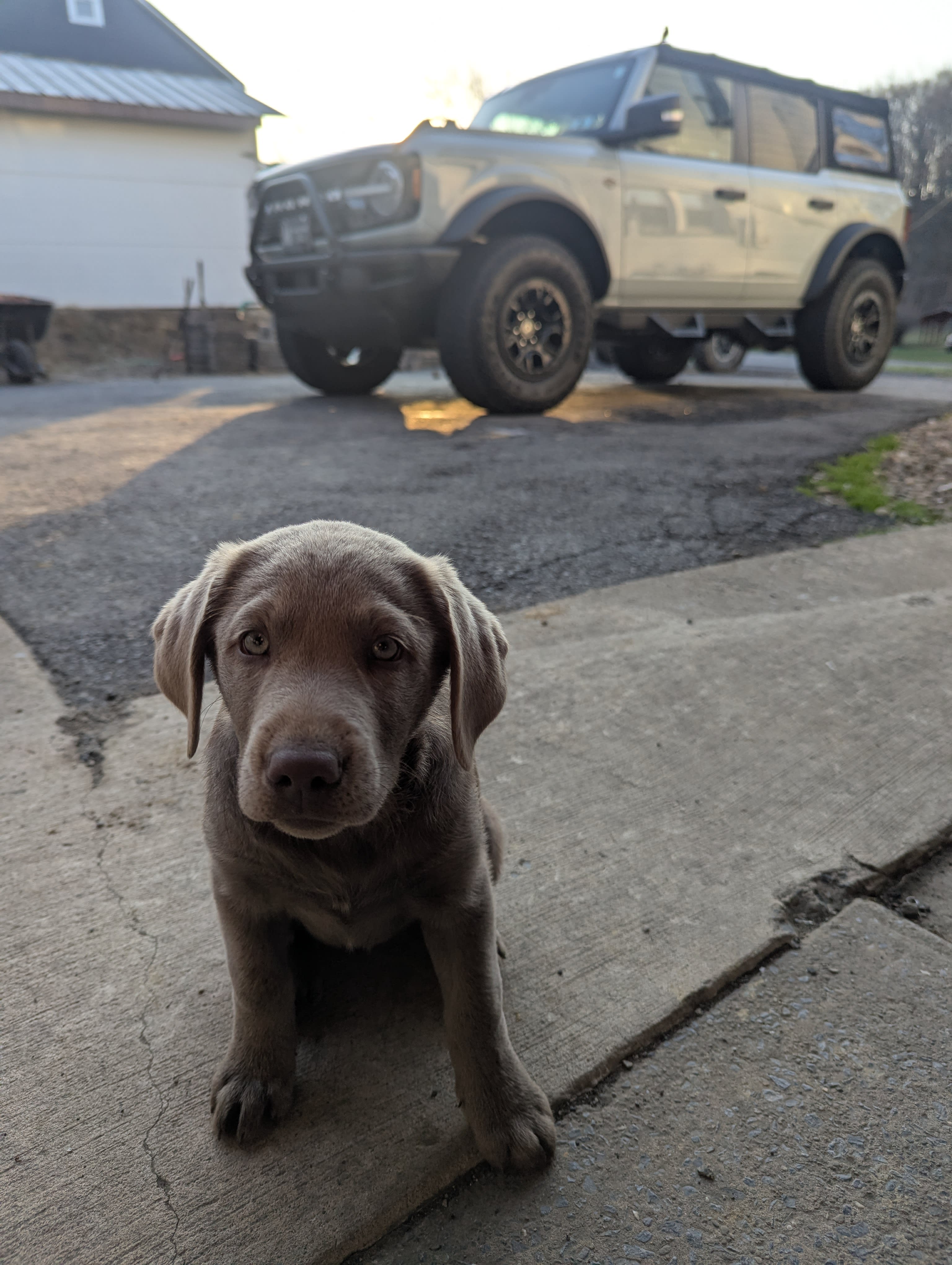 Sarge Major Skye