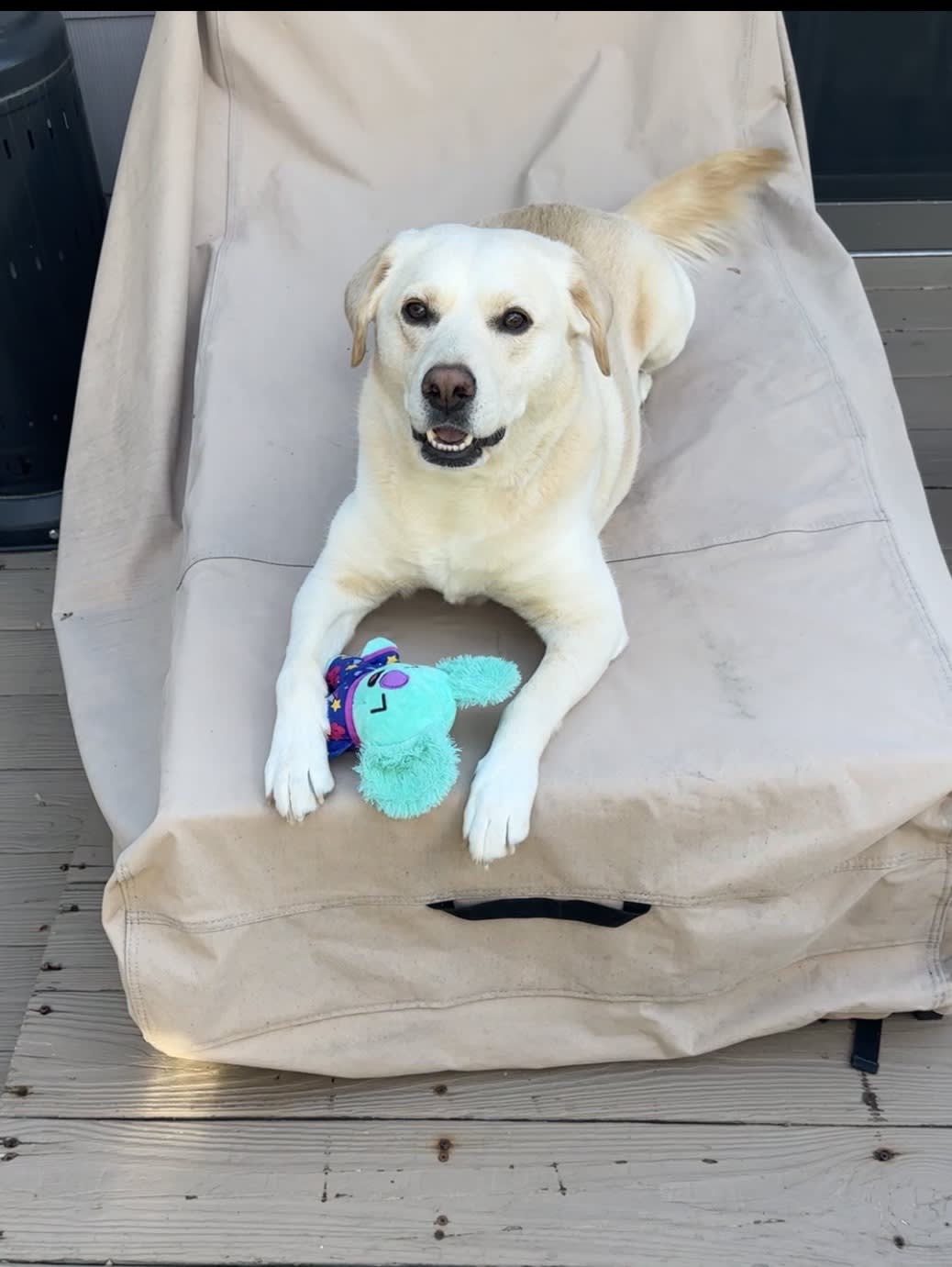 Gracie