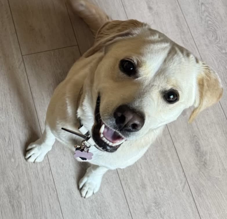 Gracie