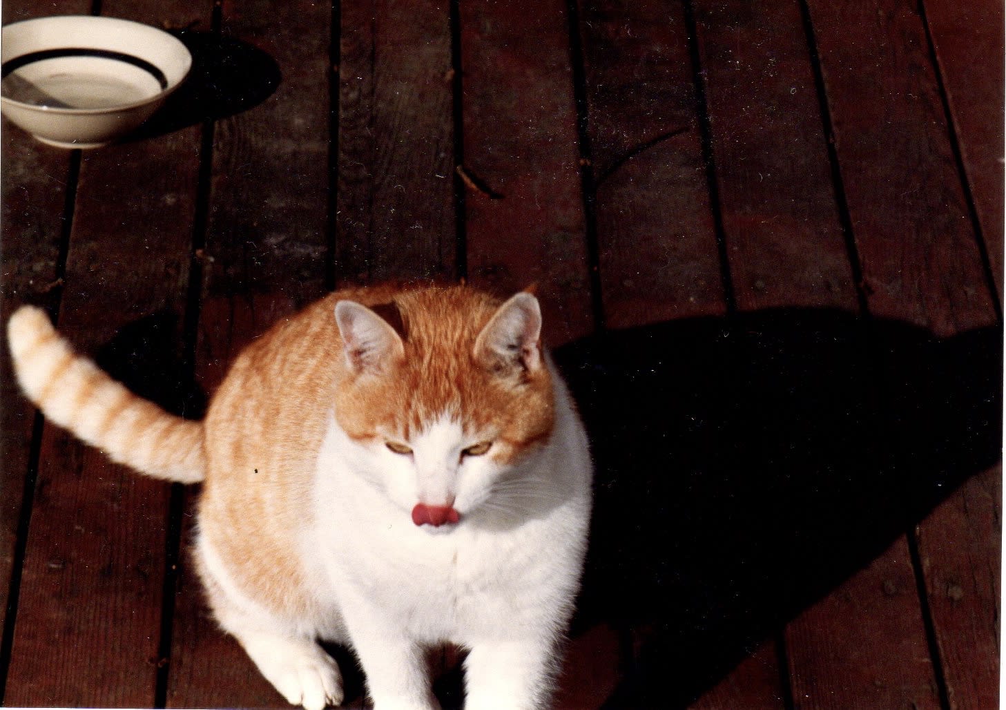 Sammy and Sula