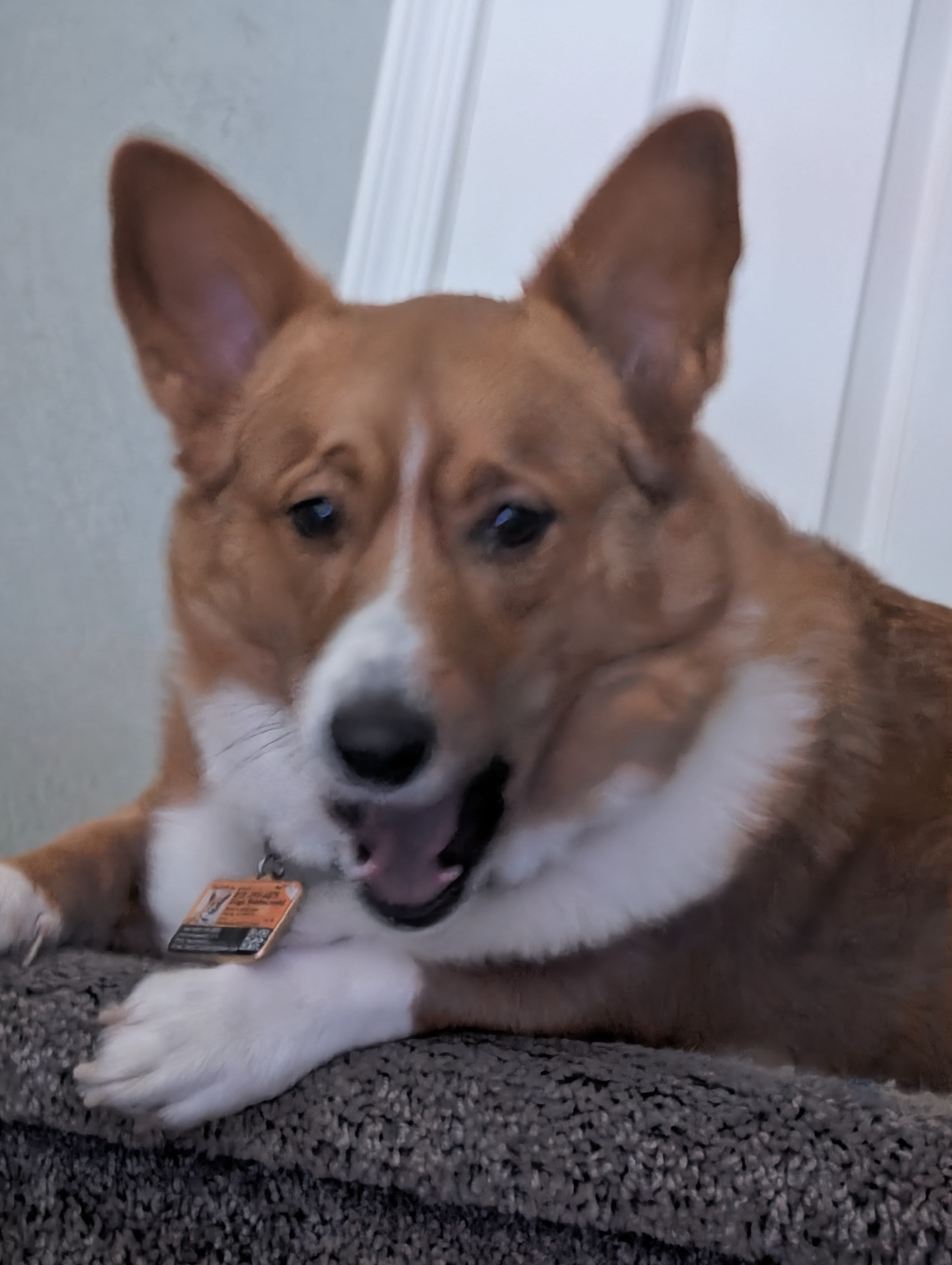 Diego