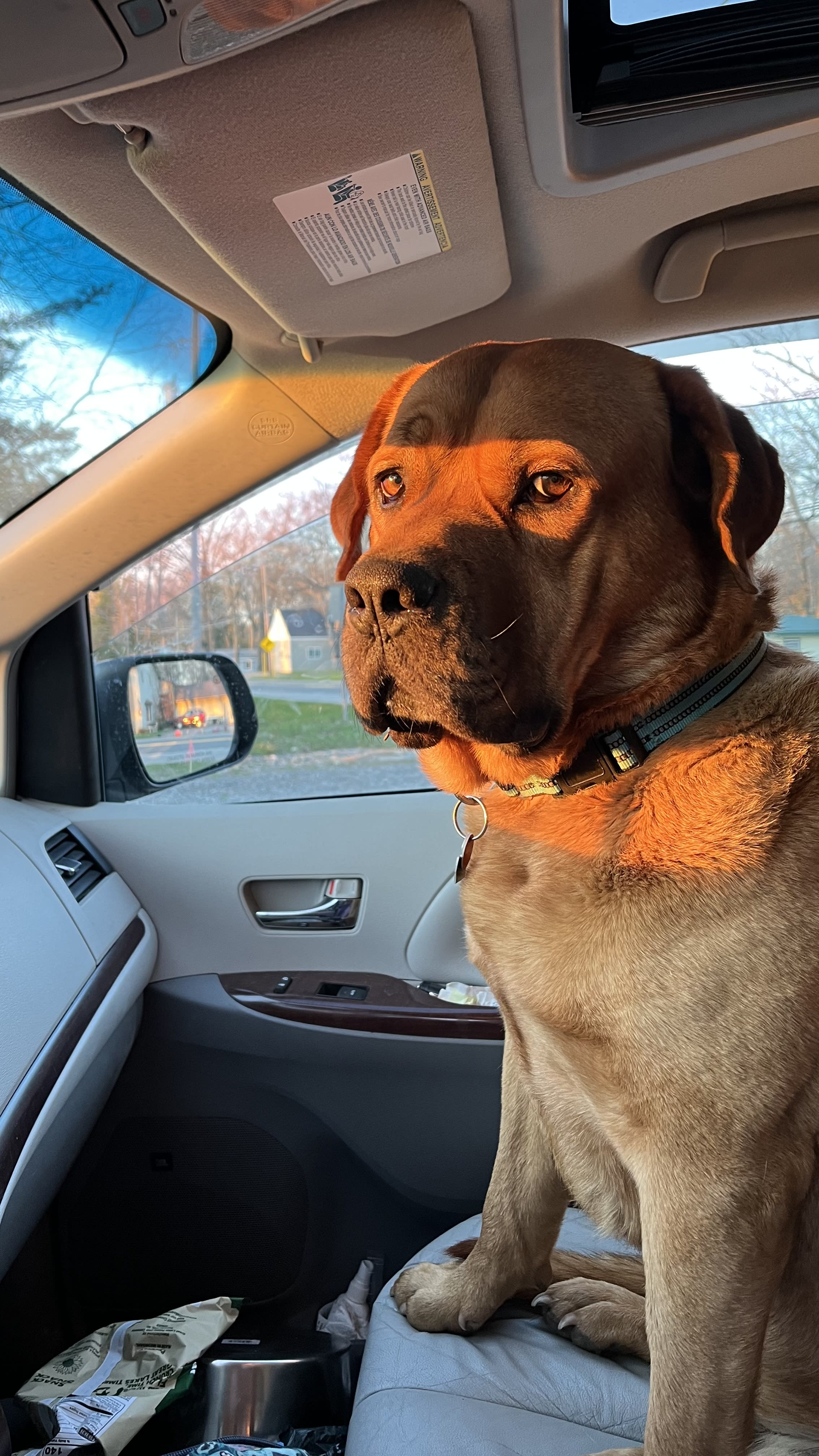 Duke