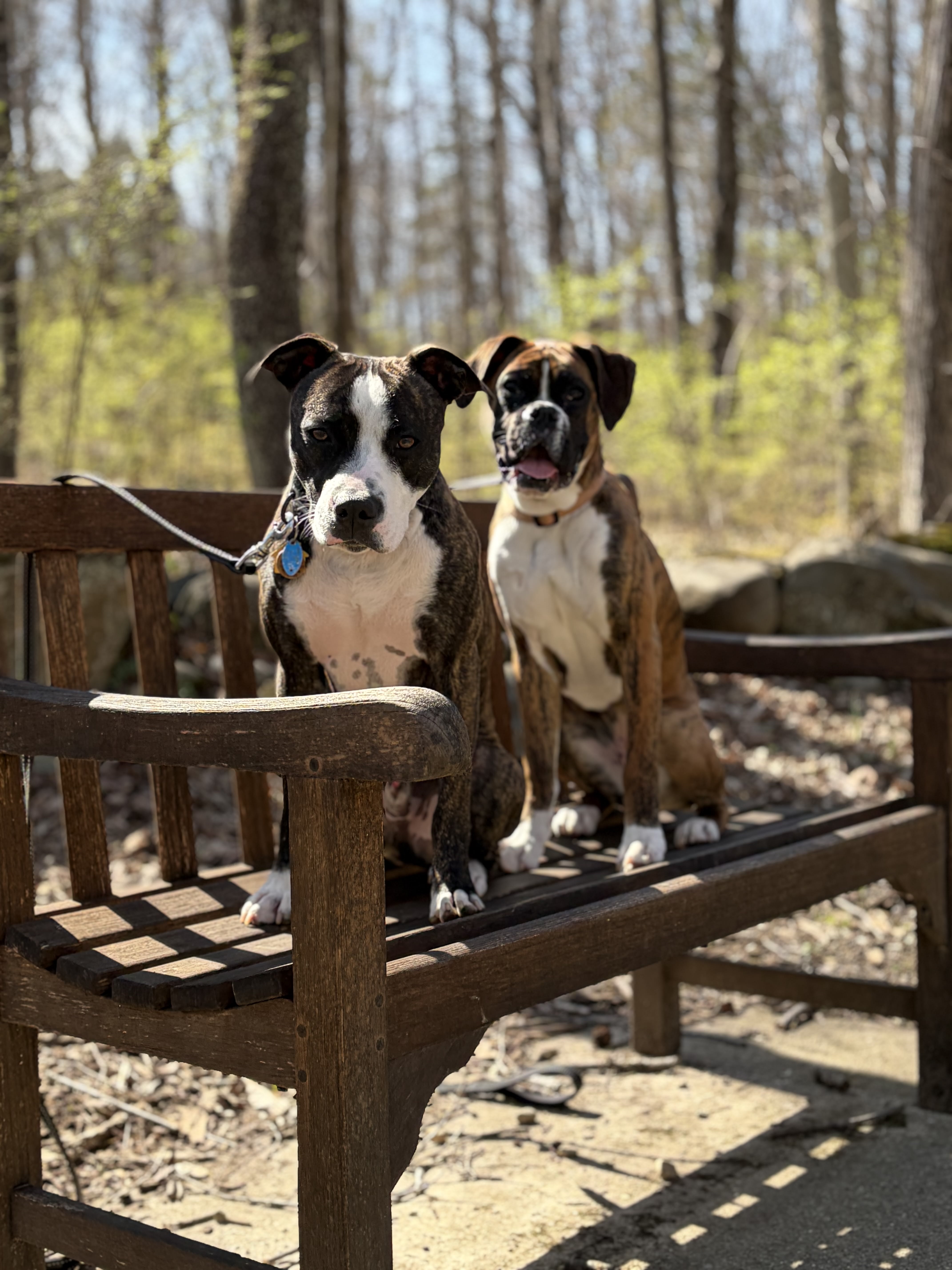 Nash and Nala
