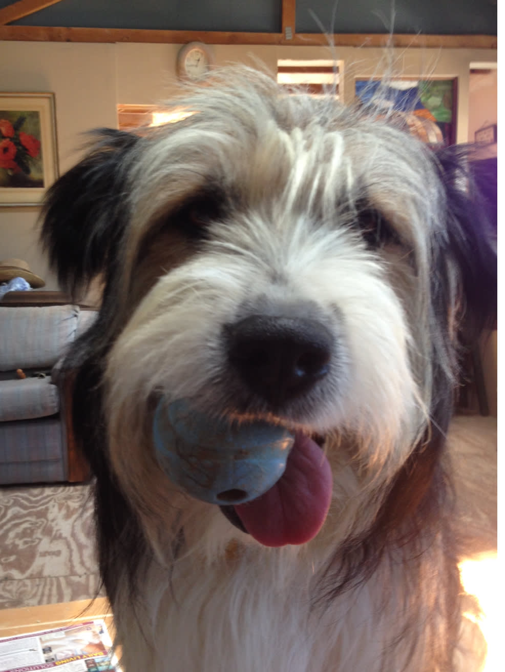 Mugsy Mugsy