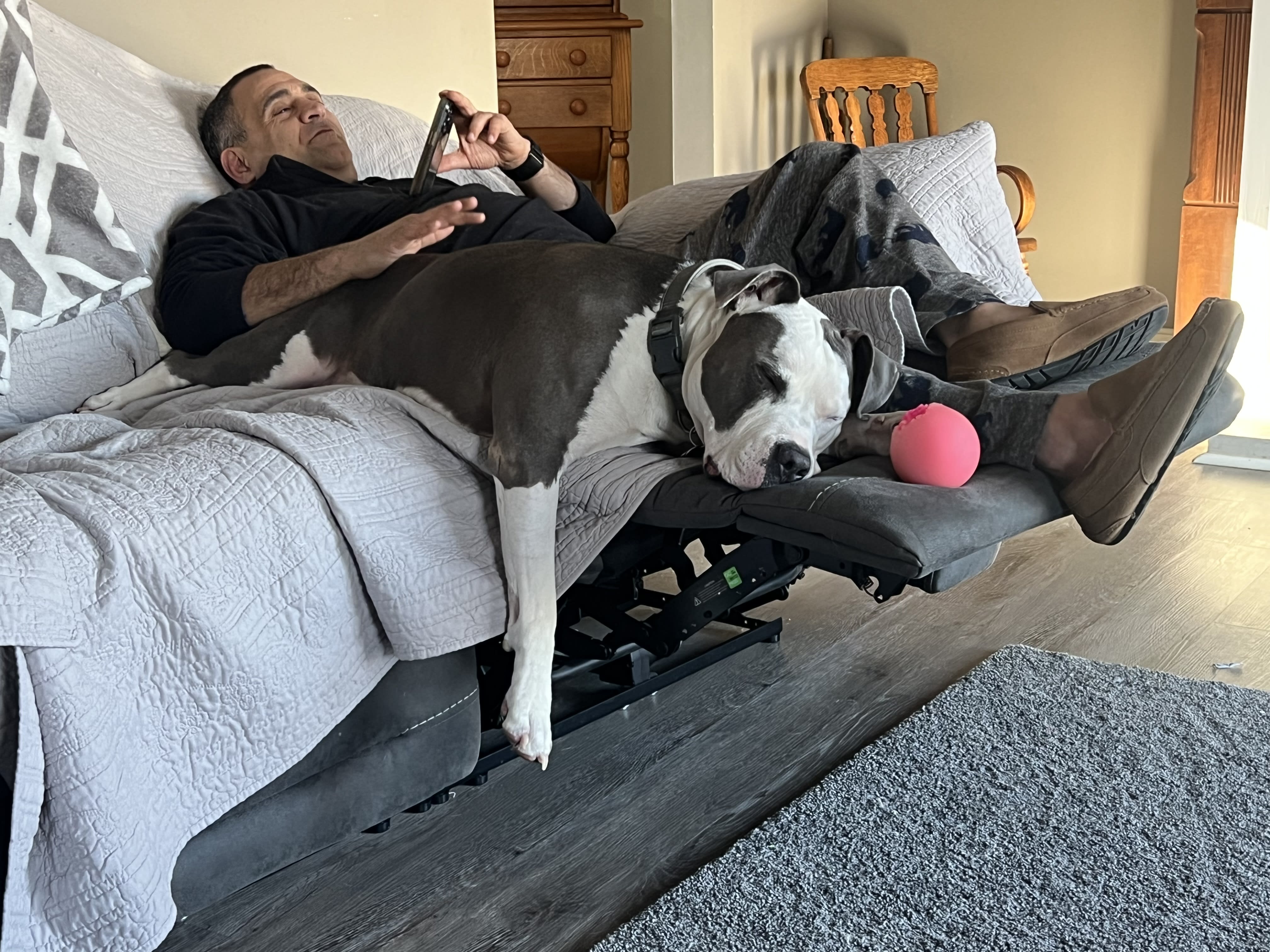 Bleu and Nebbi