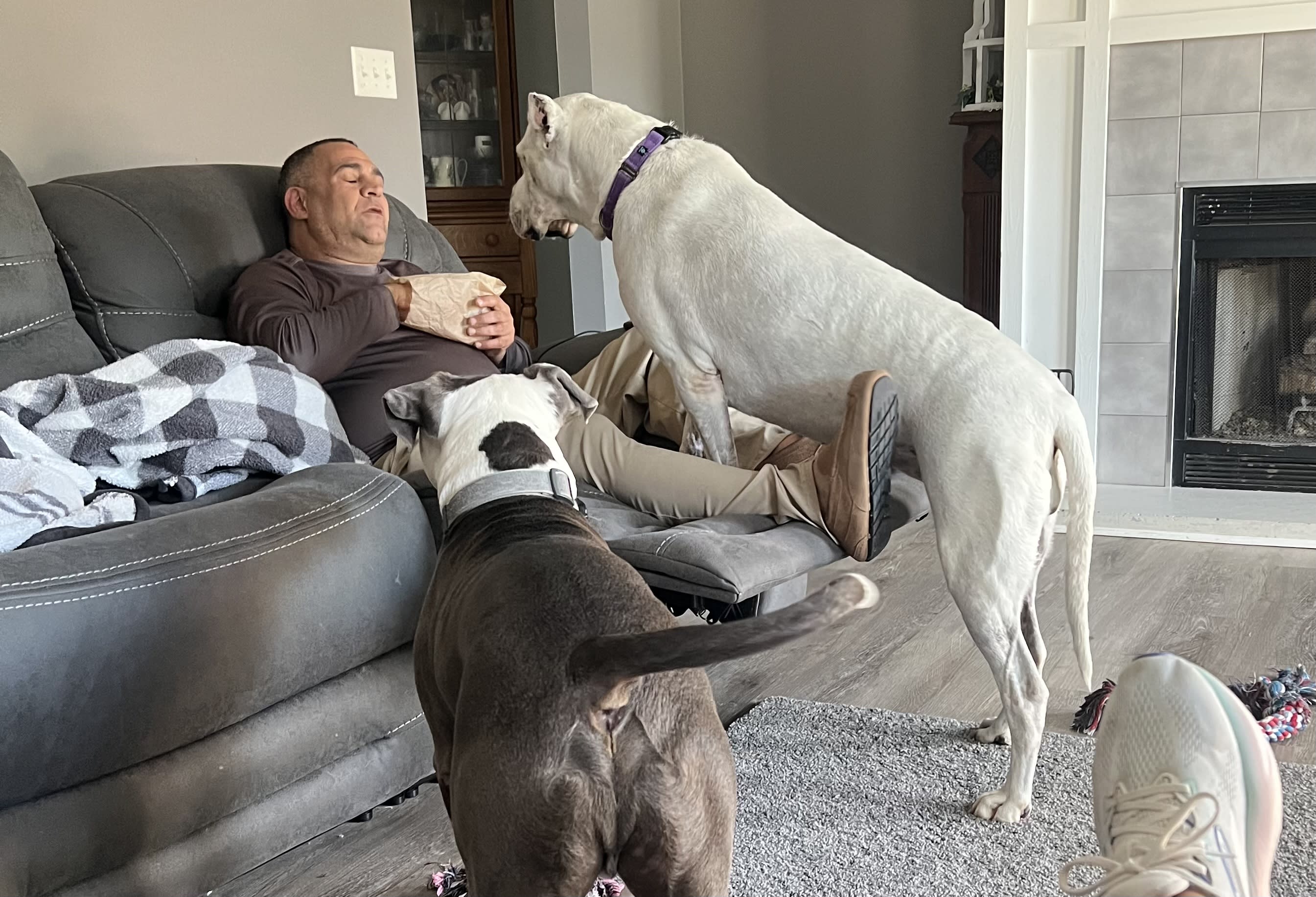 Bleu and Nebbi