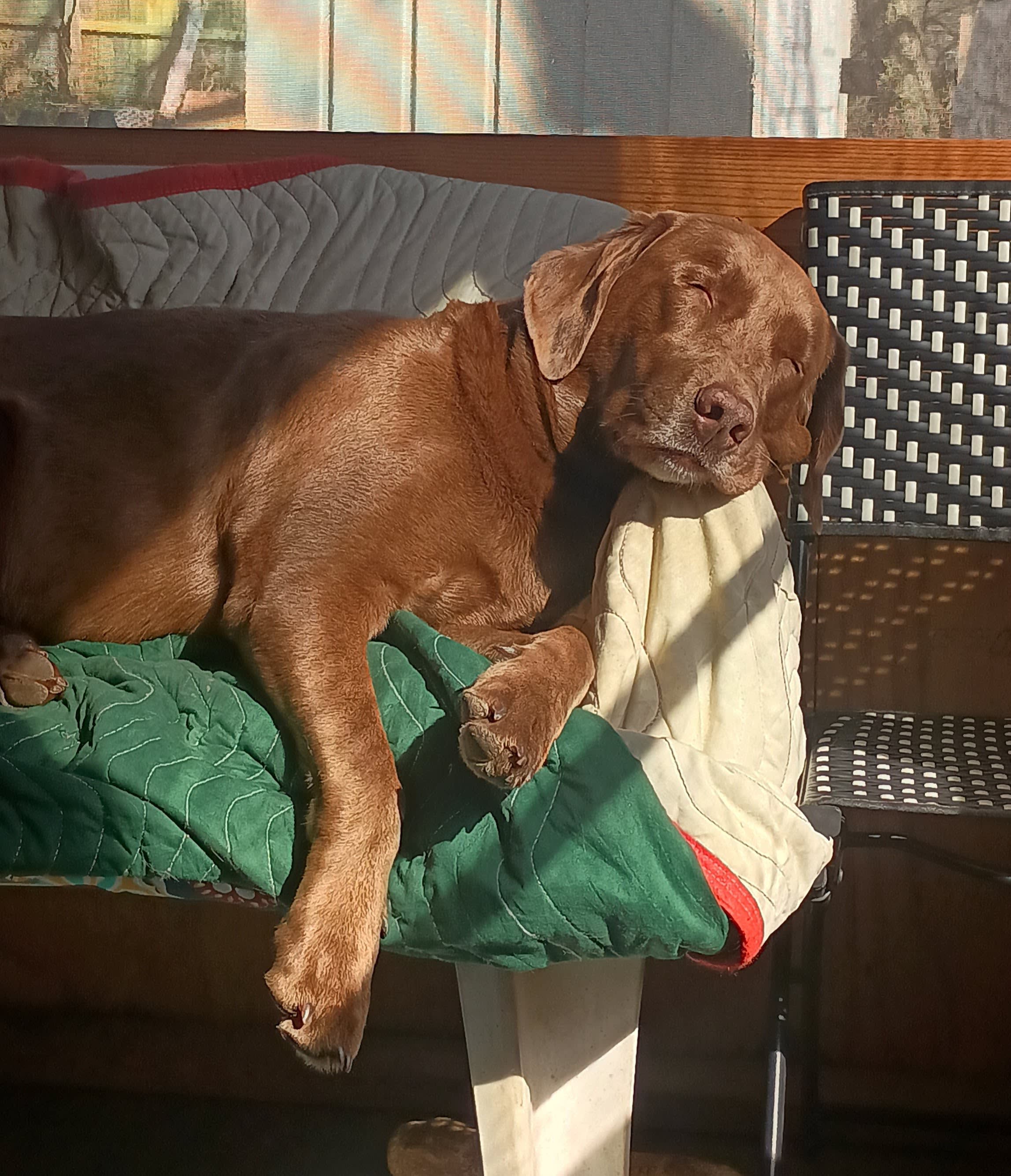 Mocha