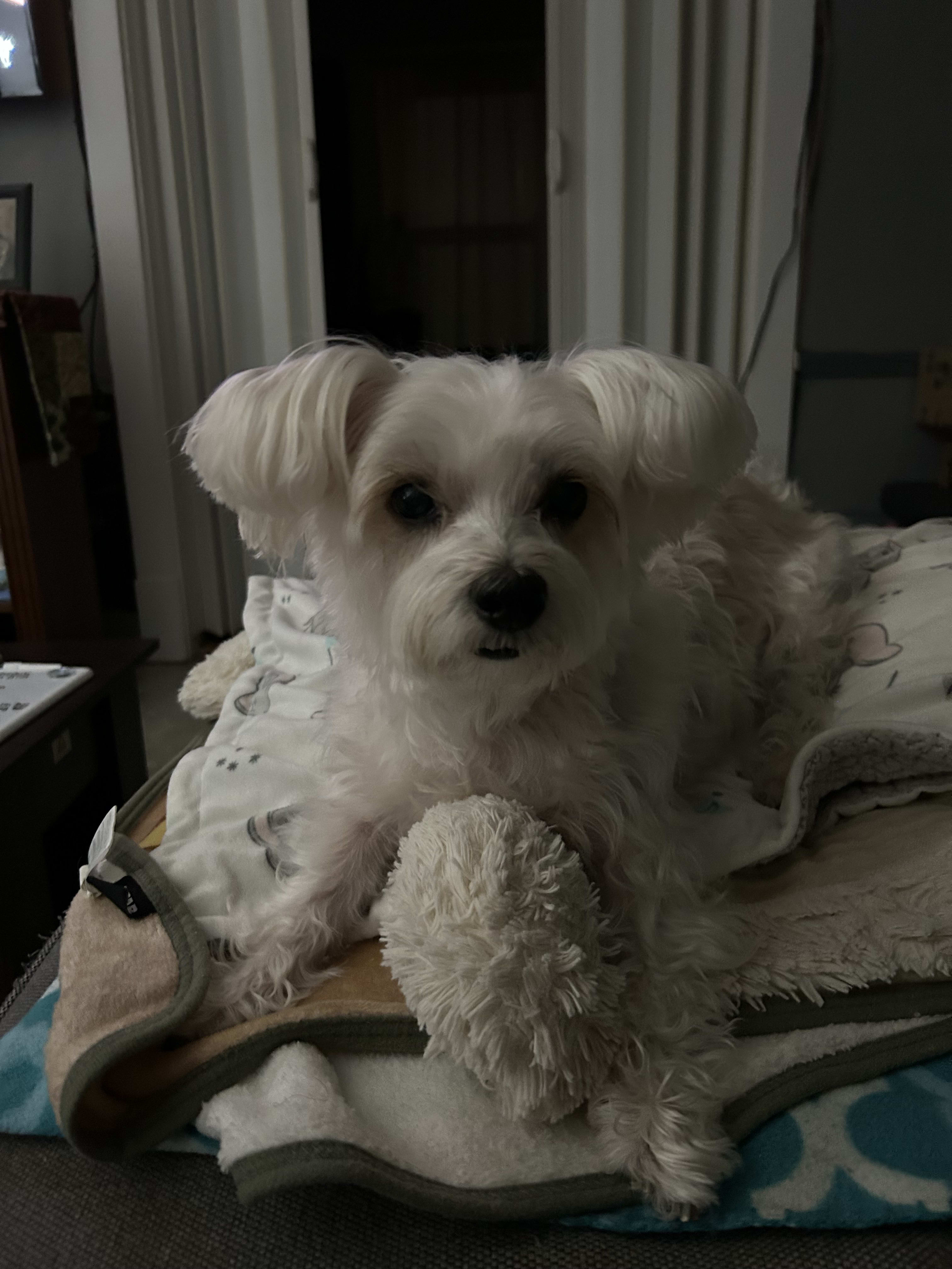 Bear and Quincy