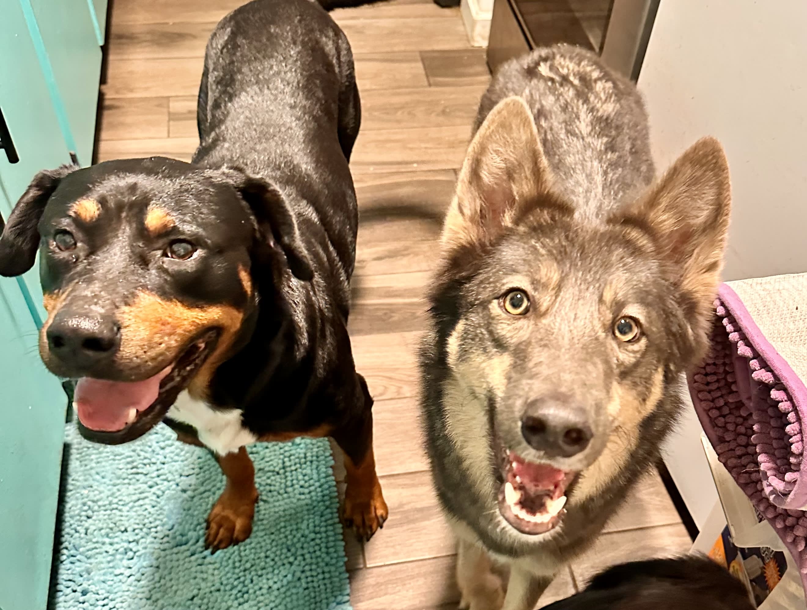 Maddie and Mikasi