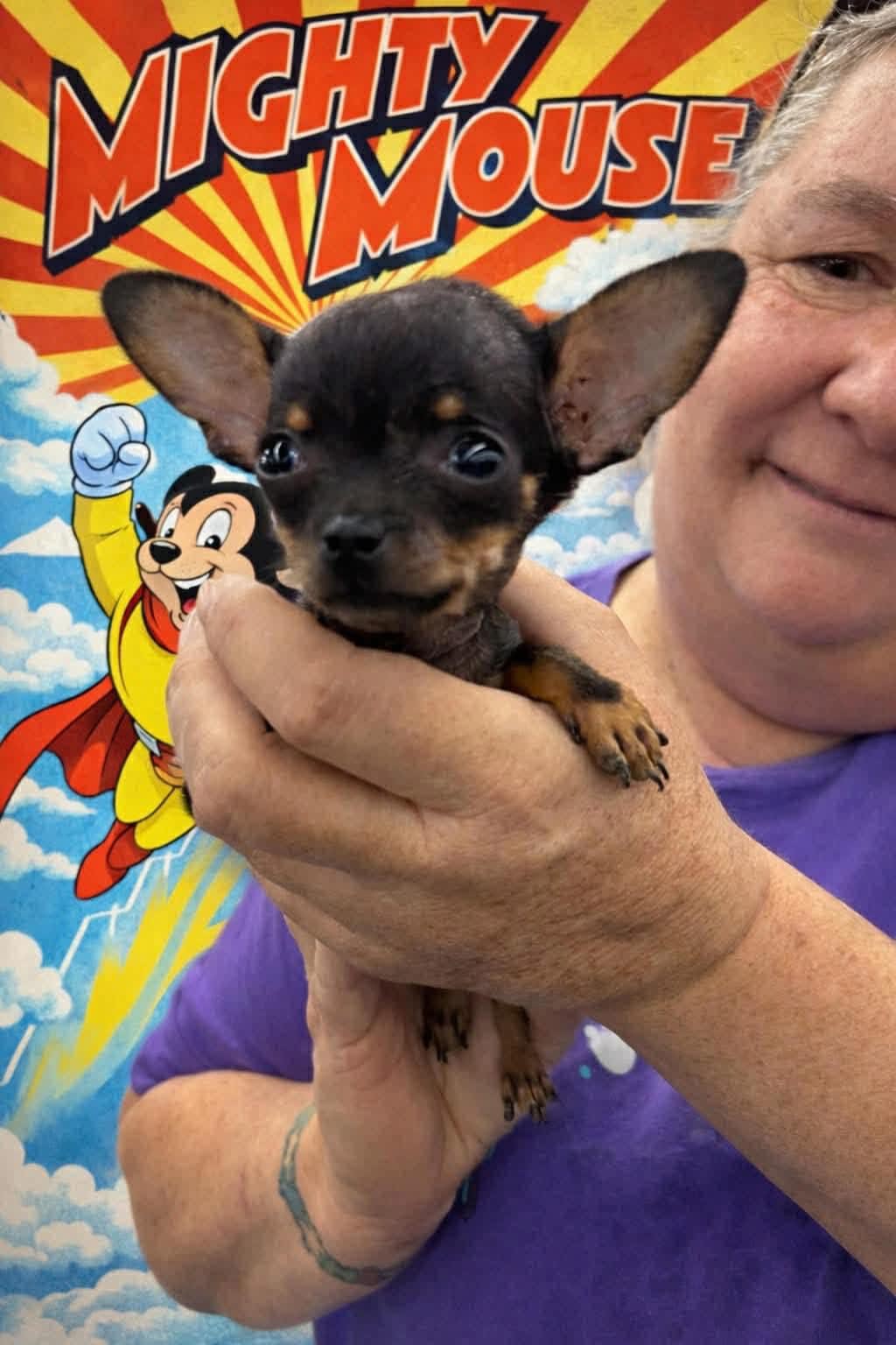 Mighty Mouse