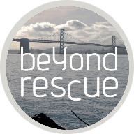 Beyond Rescue