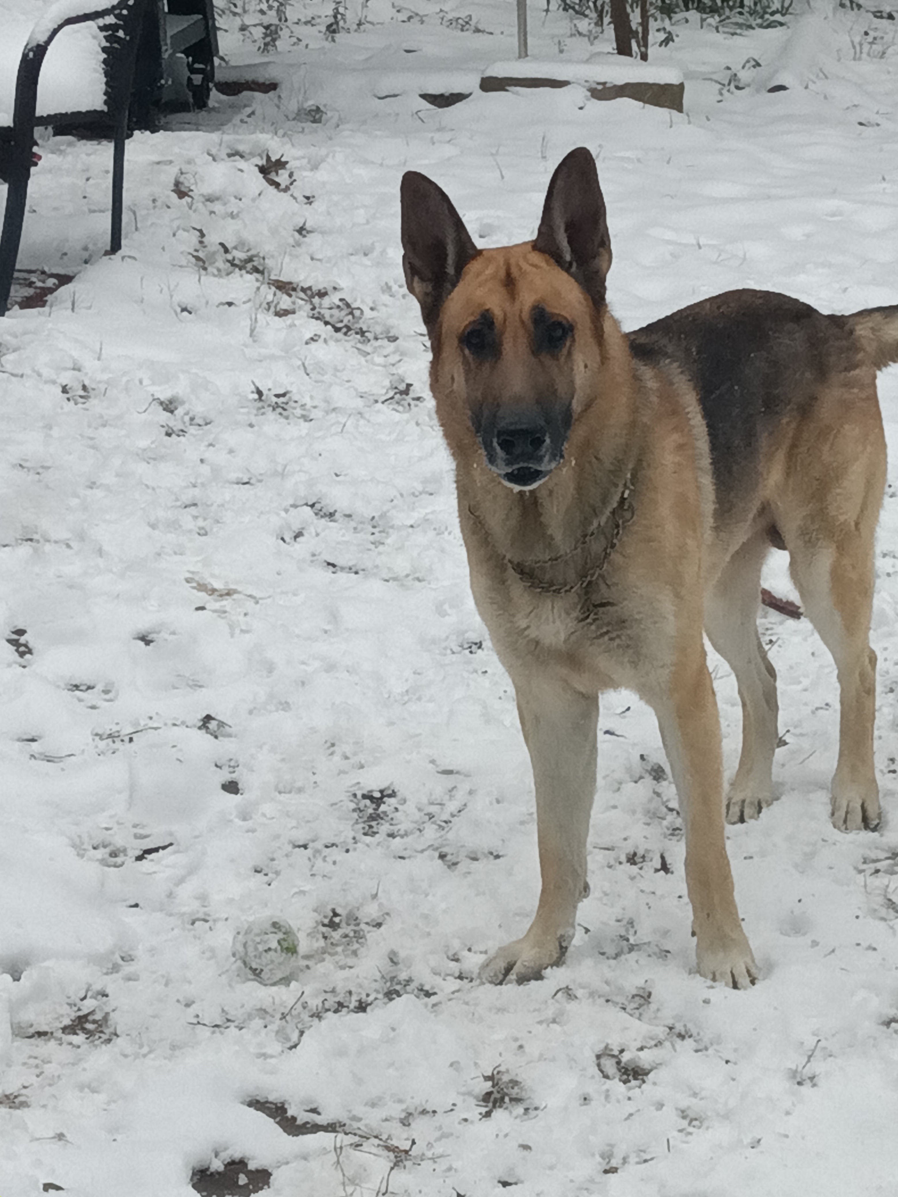 Max