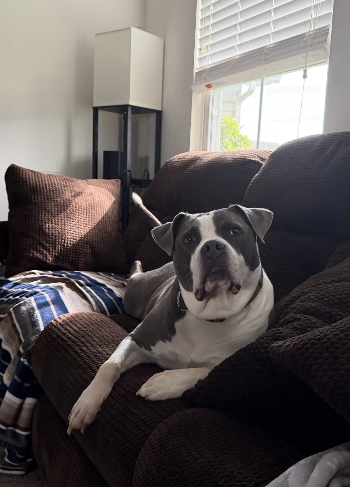 Diesel