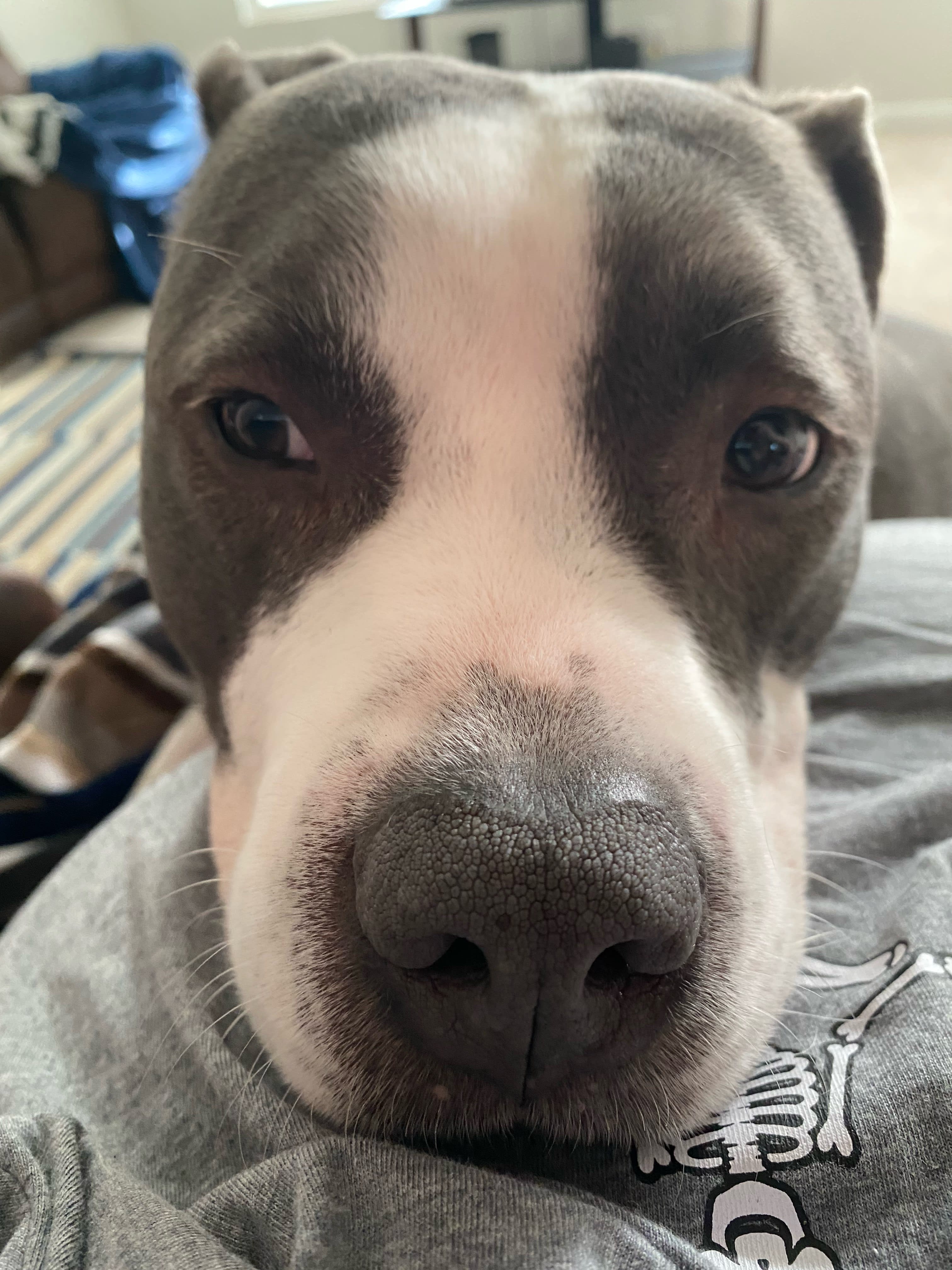 Diesel
