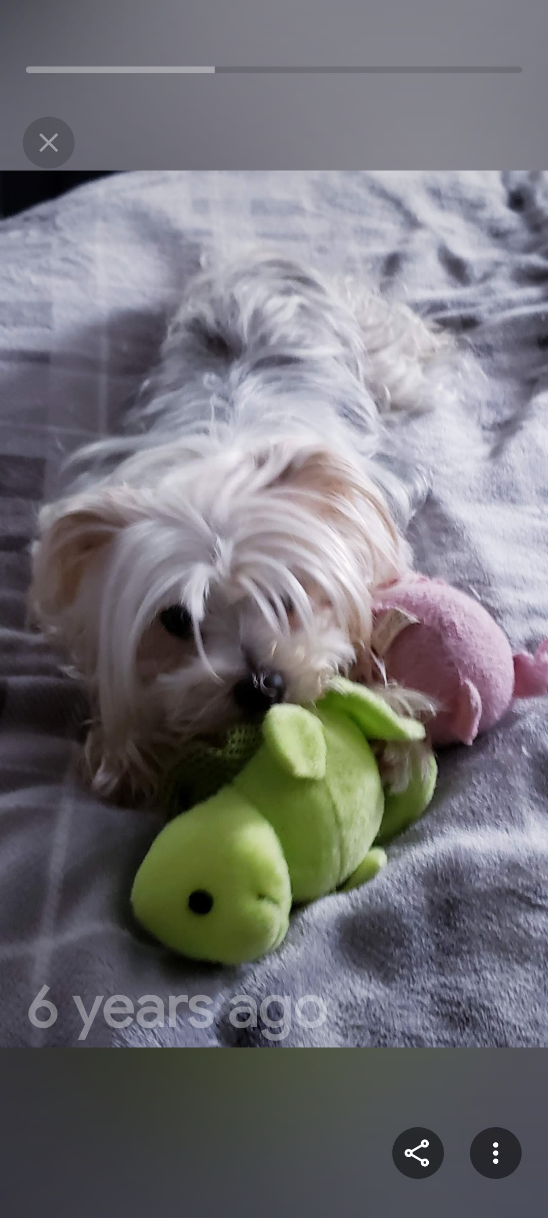 Mollie Mollie