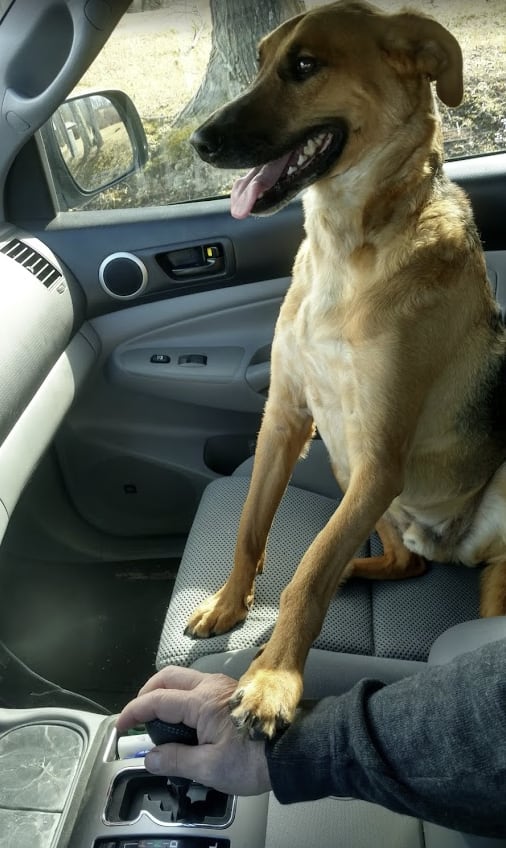 Dobby