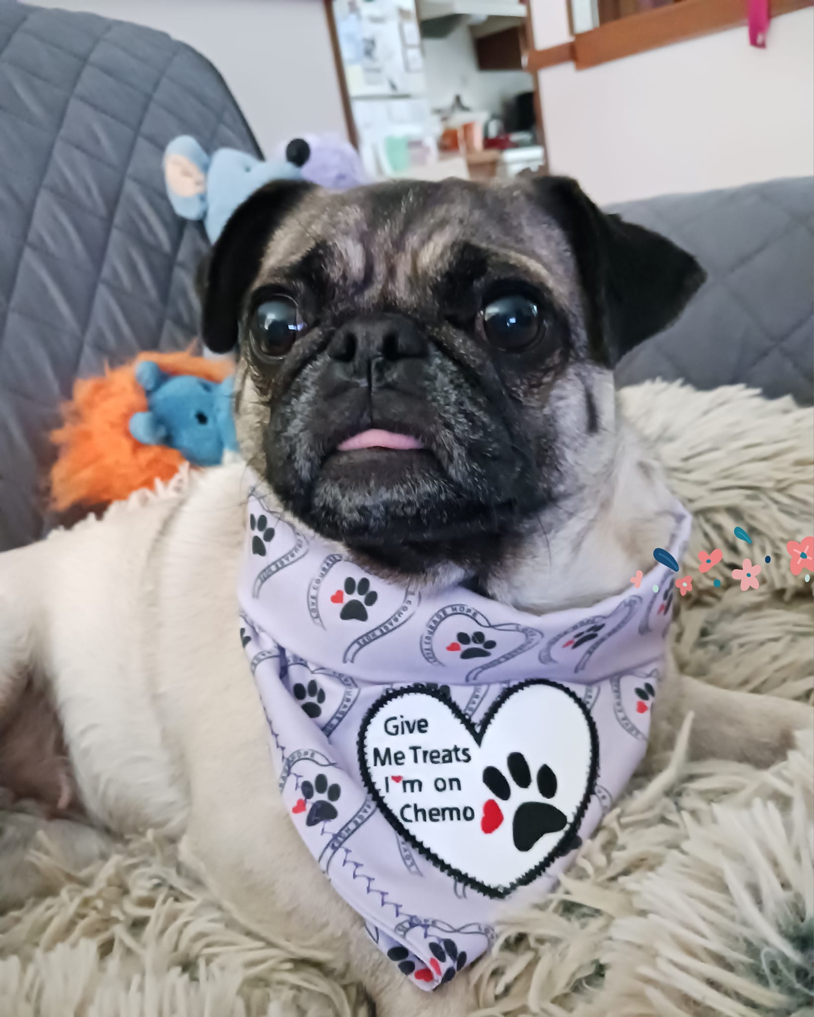 Tia