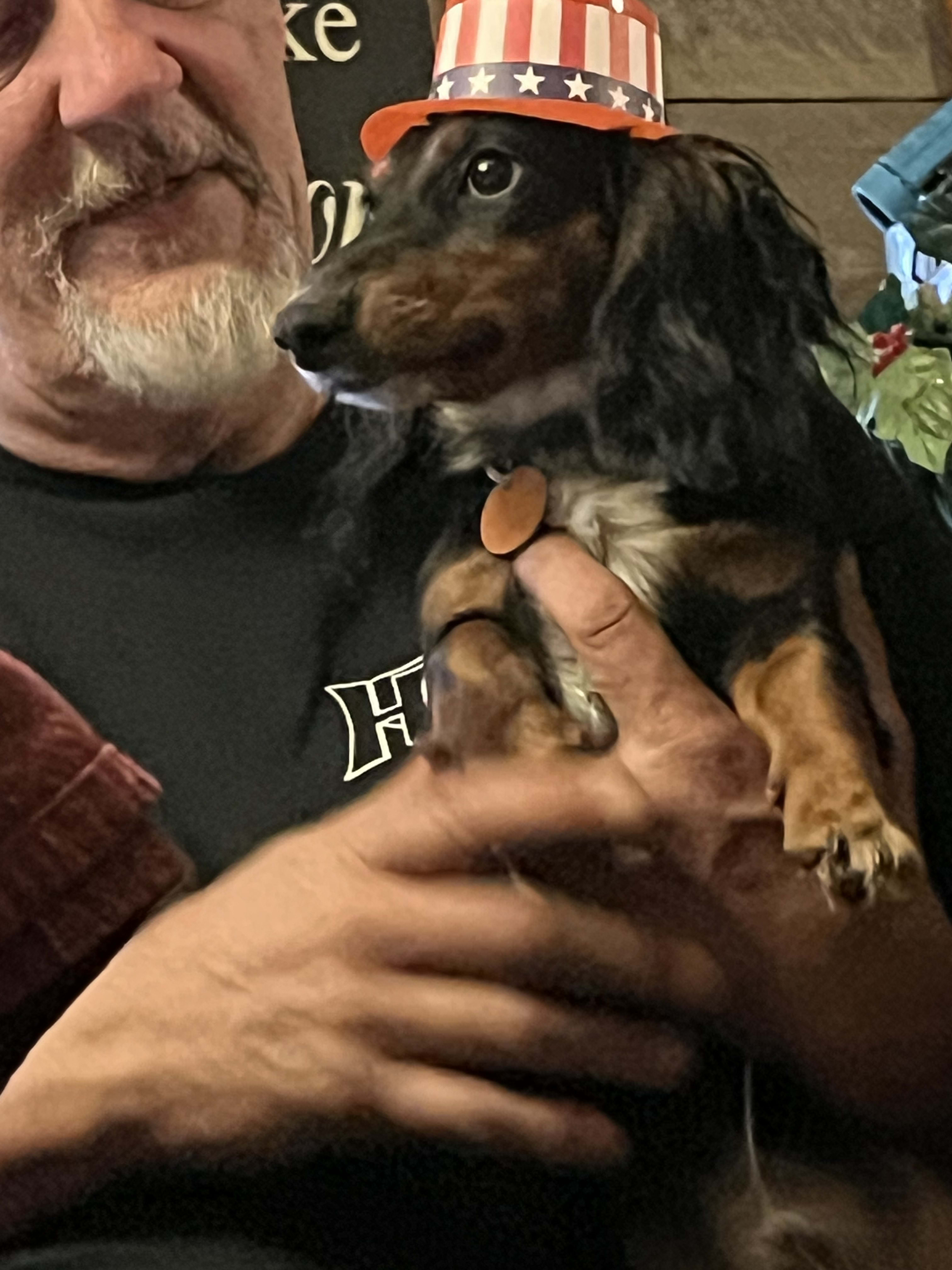 Buddy
