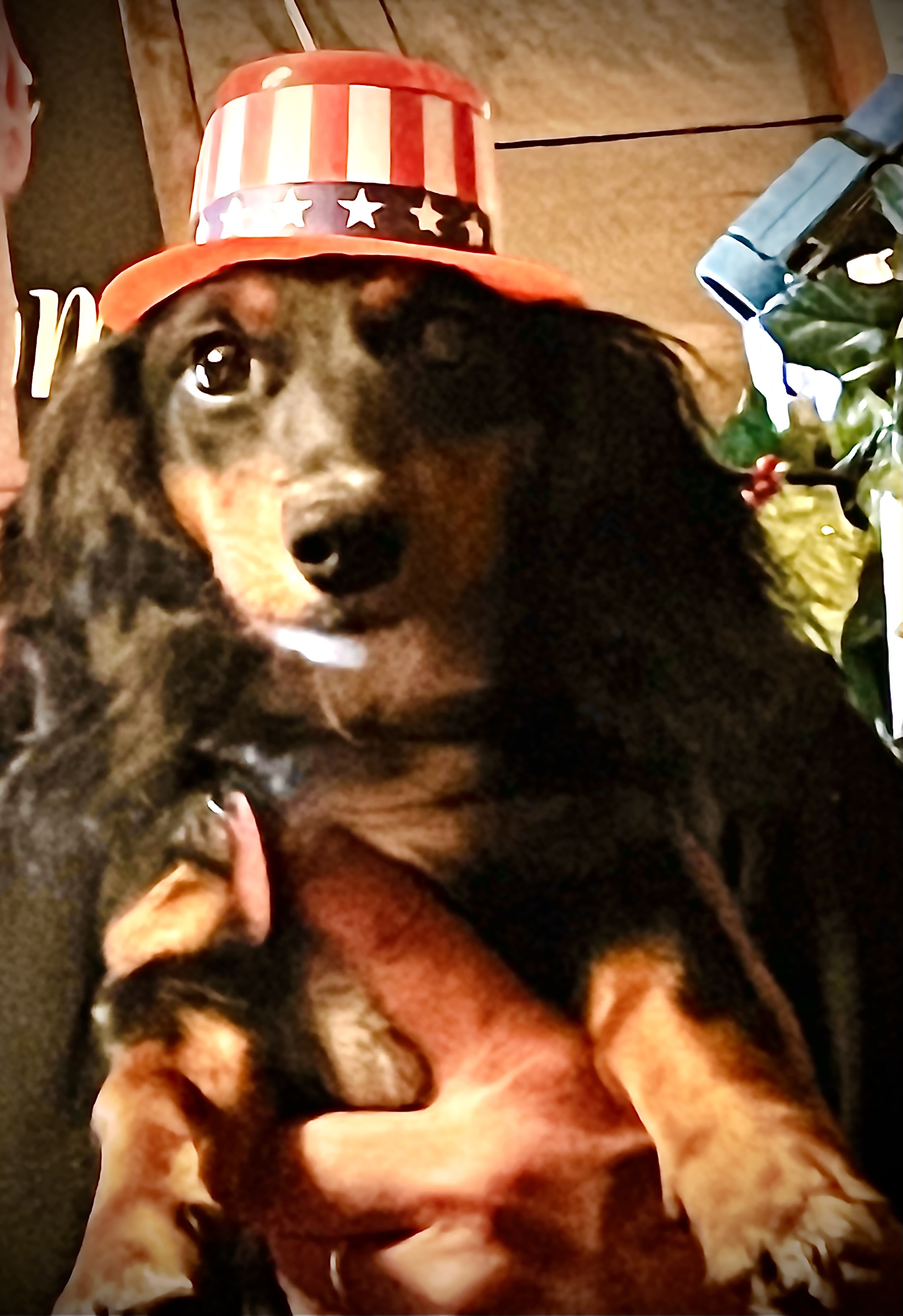 Buddy