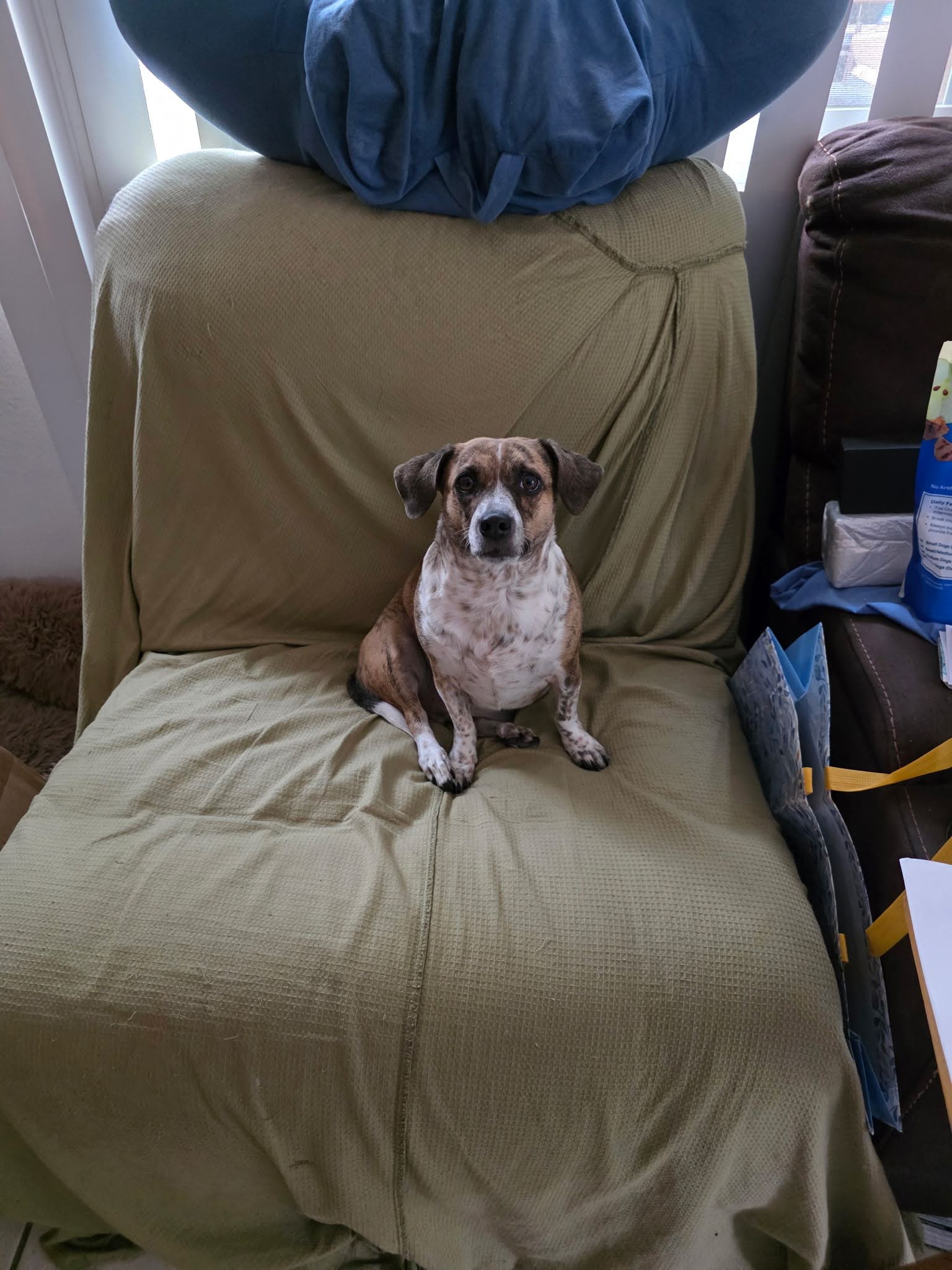 Paquito Paquito