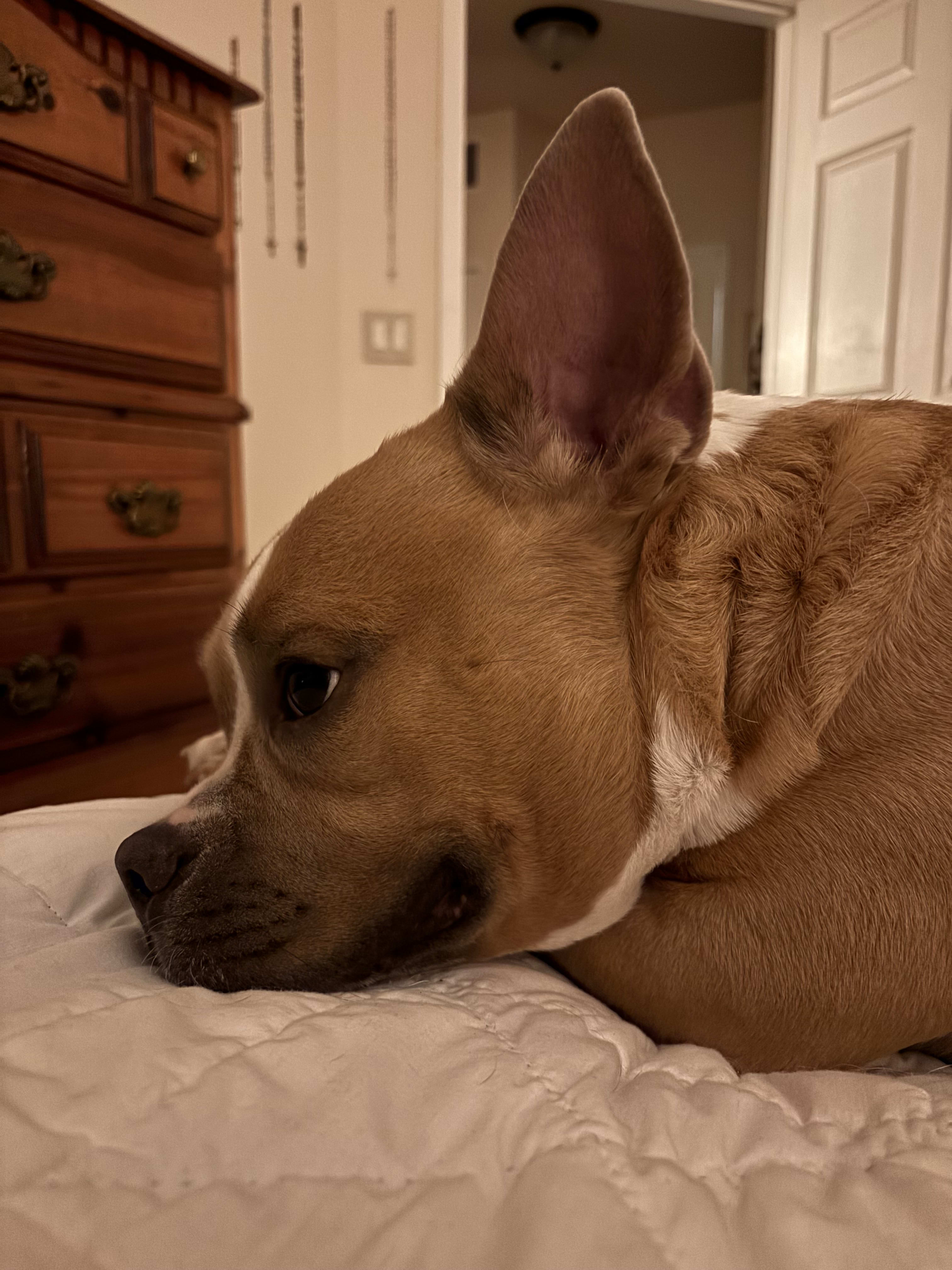 Max