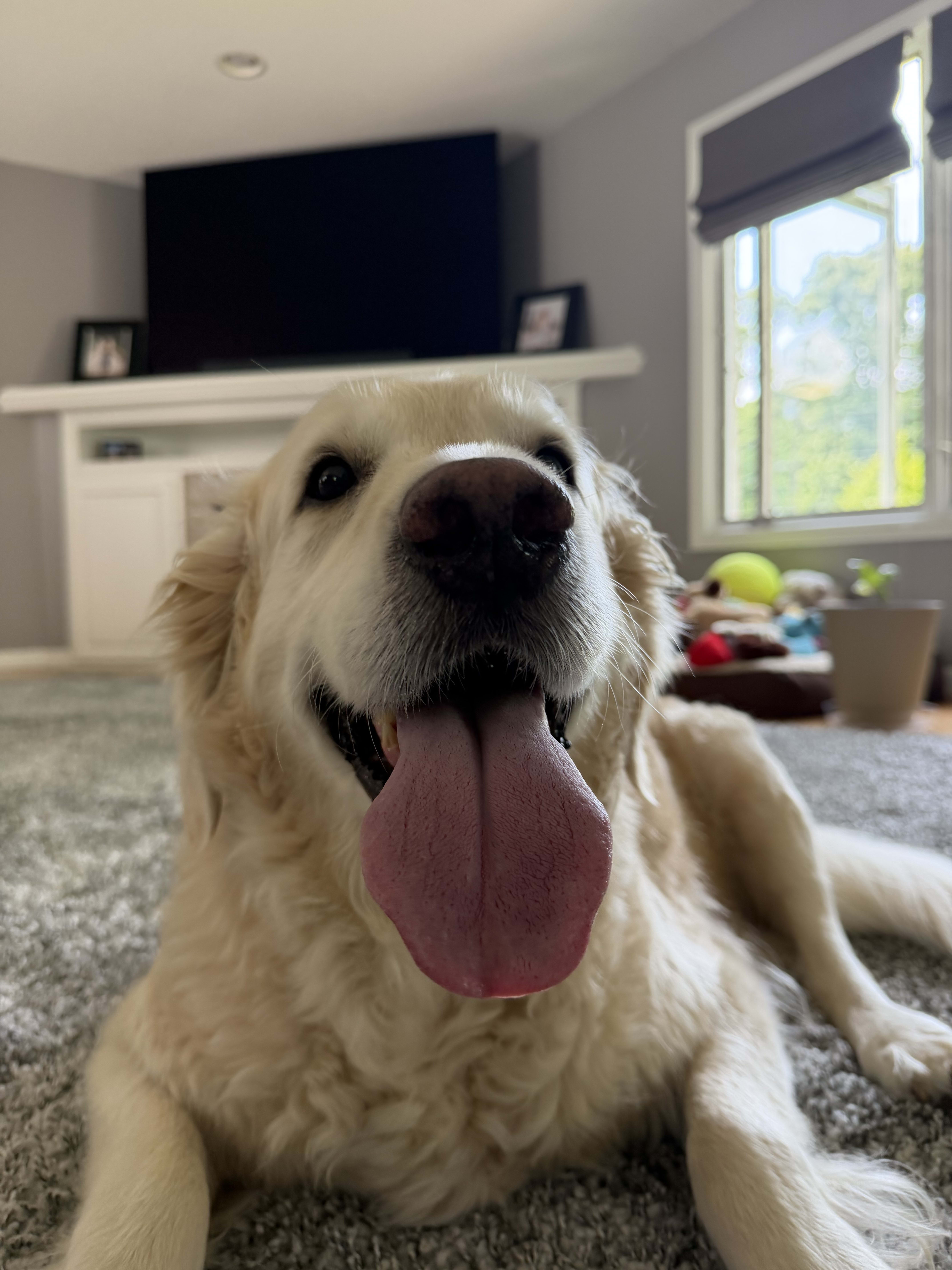 Flynn