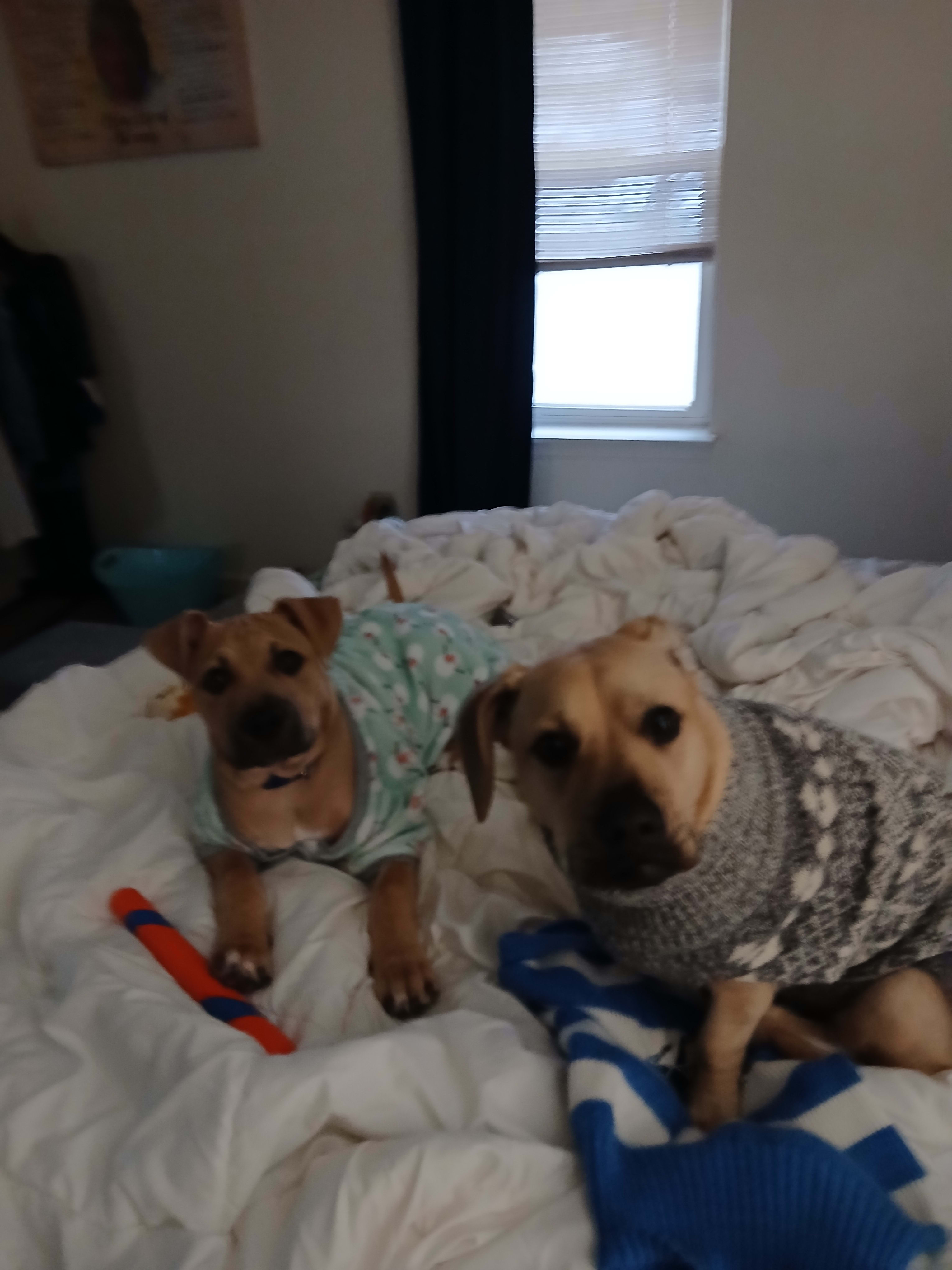 Charlie and Peanut