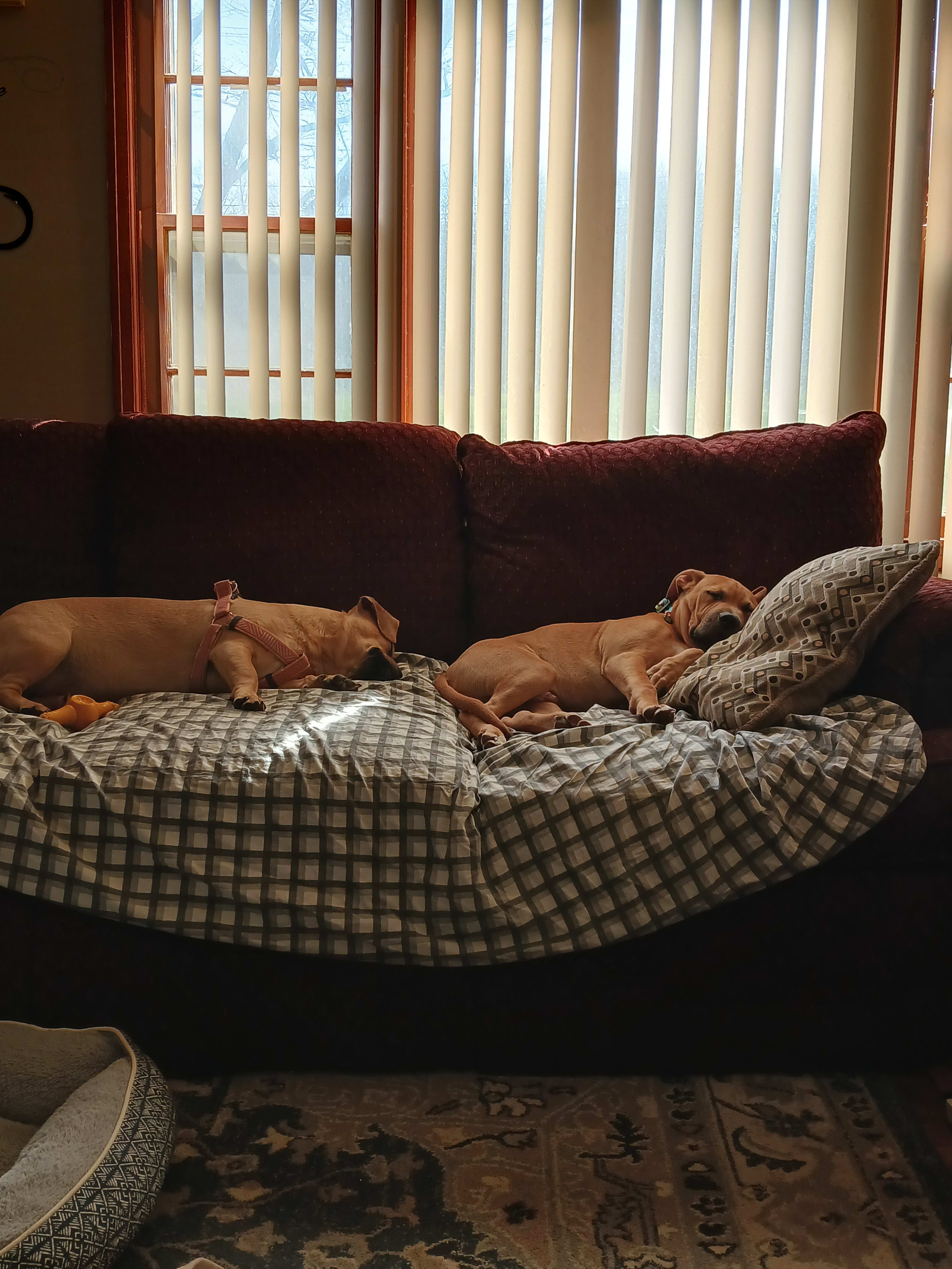 Charlie and Peanut