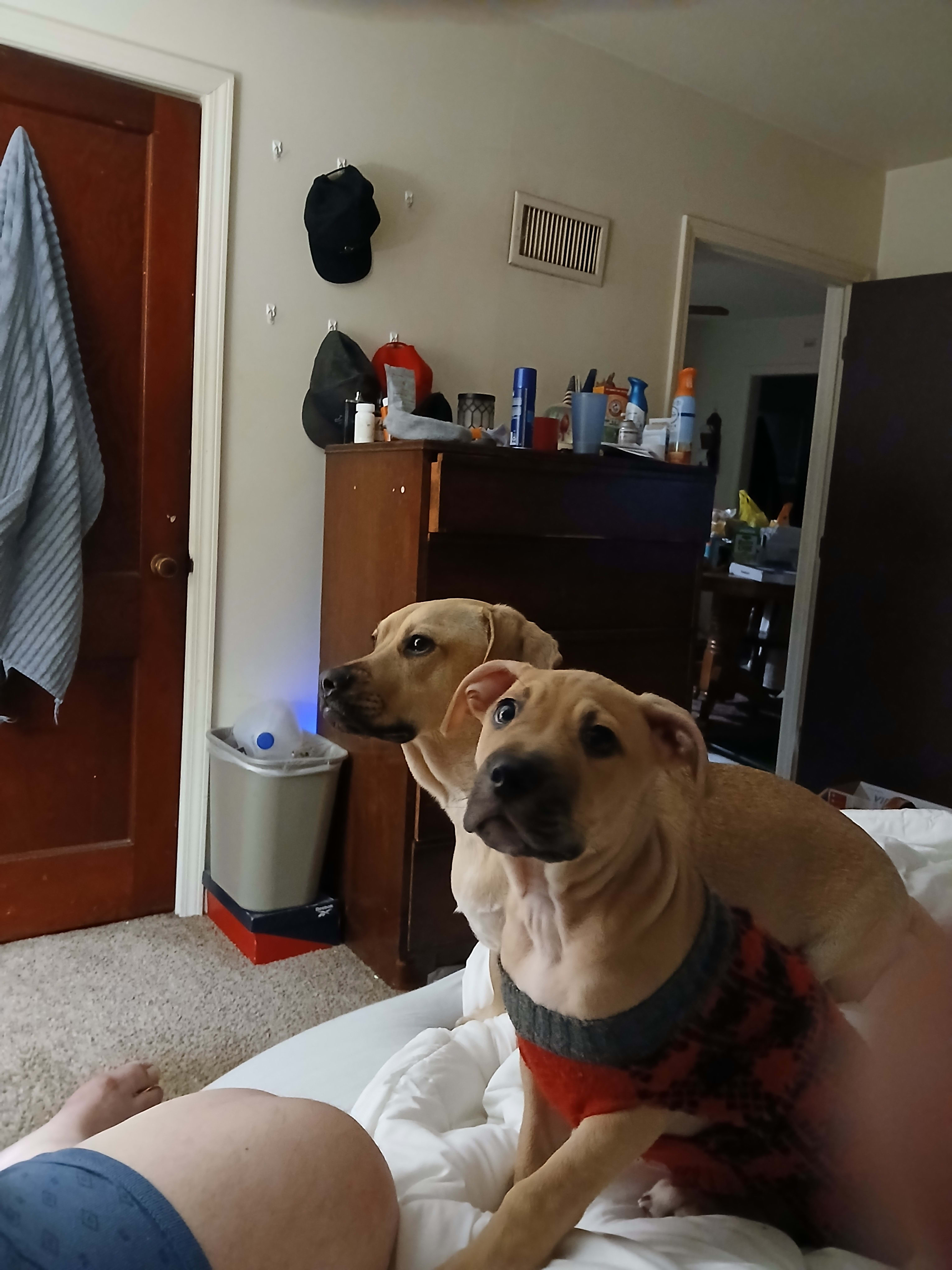 Charlie and Peanut