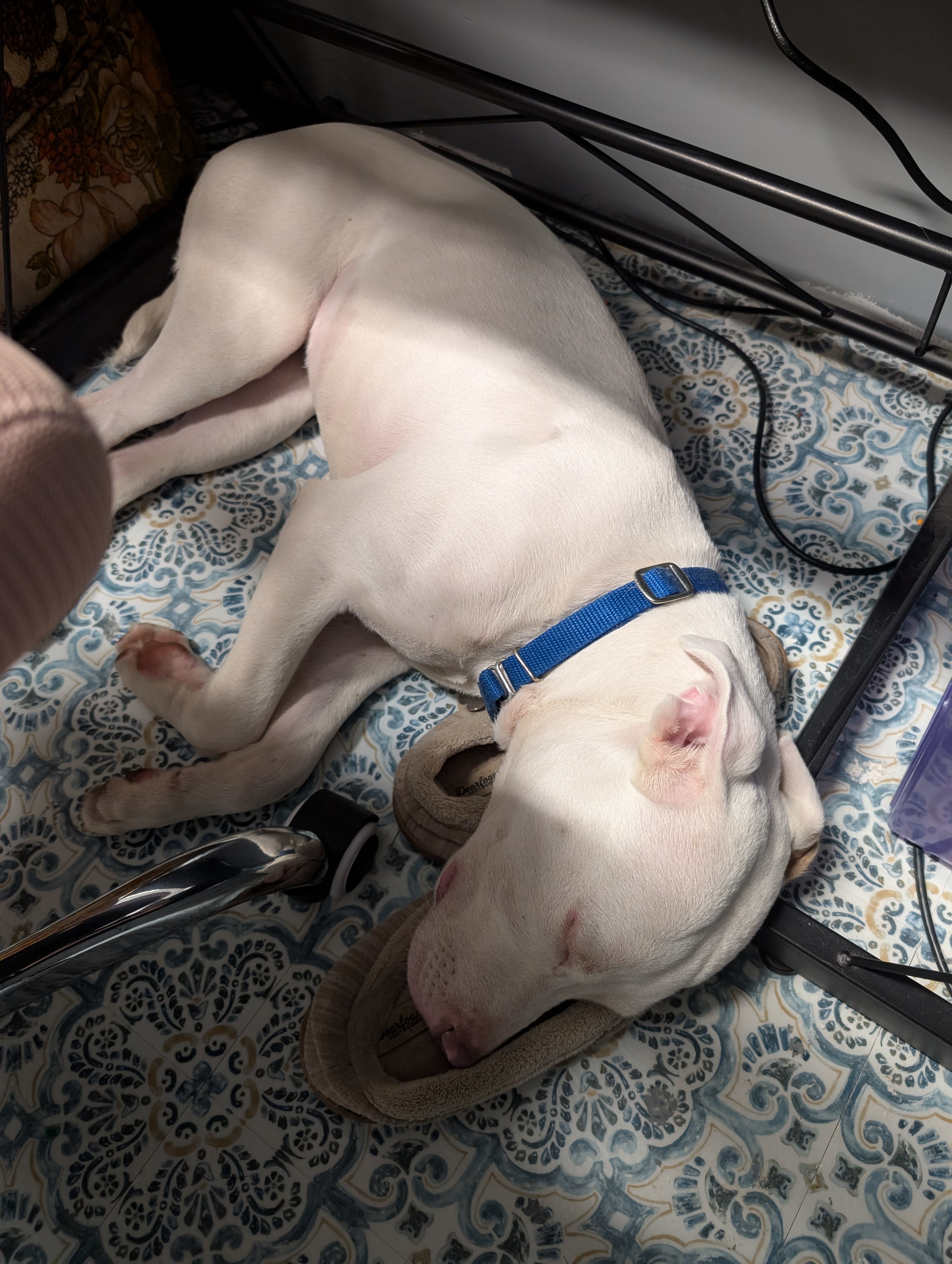 Luna