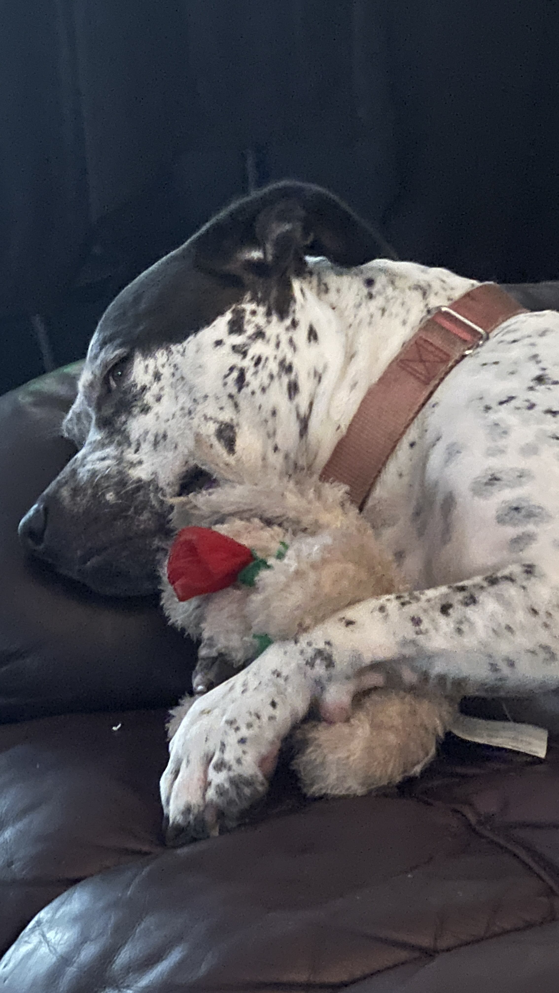 Coco