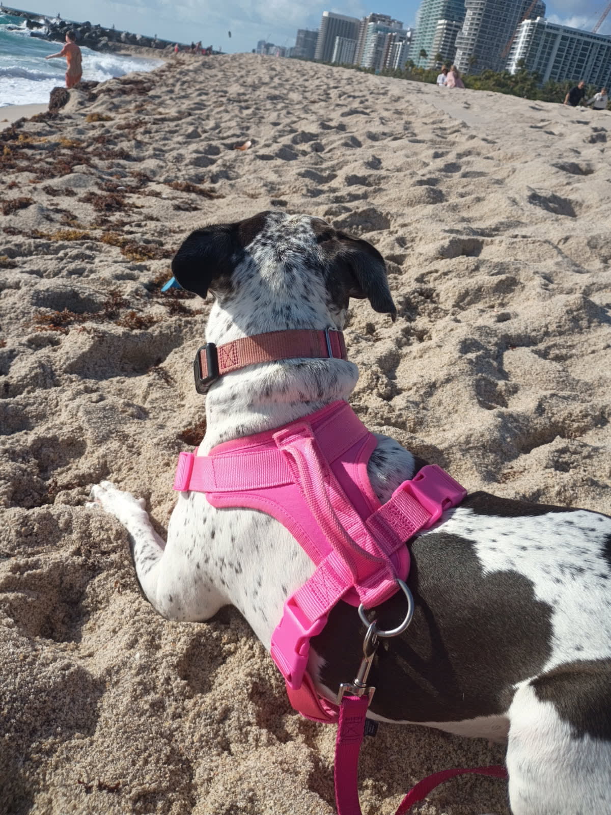 Coco