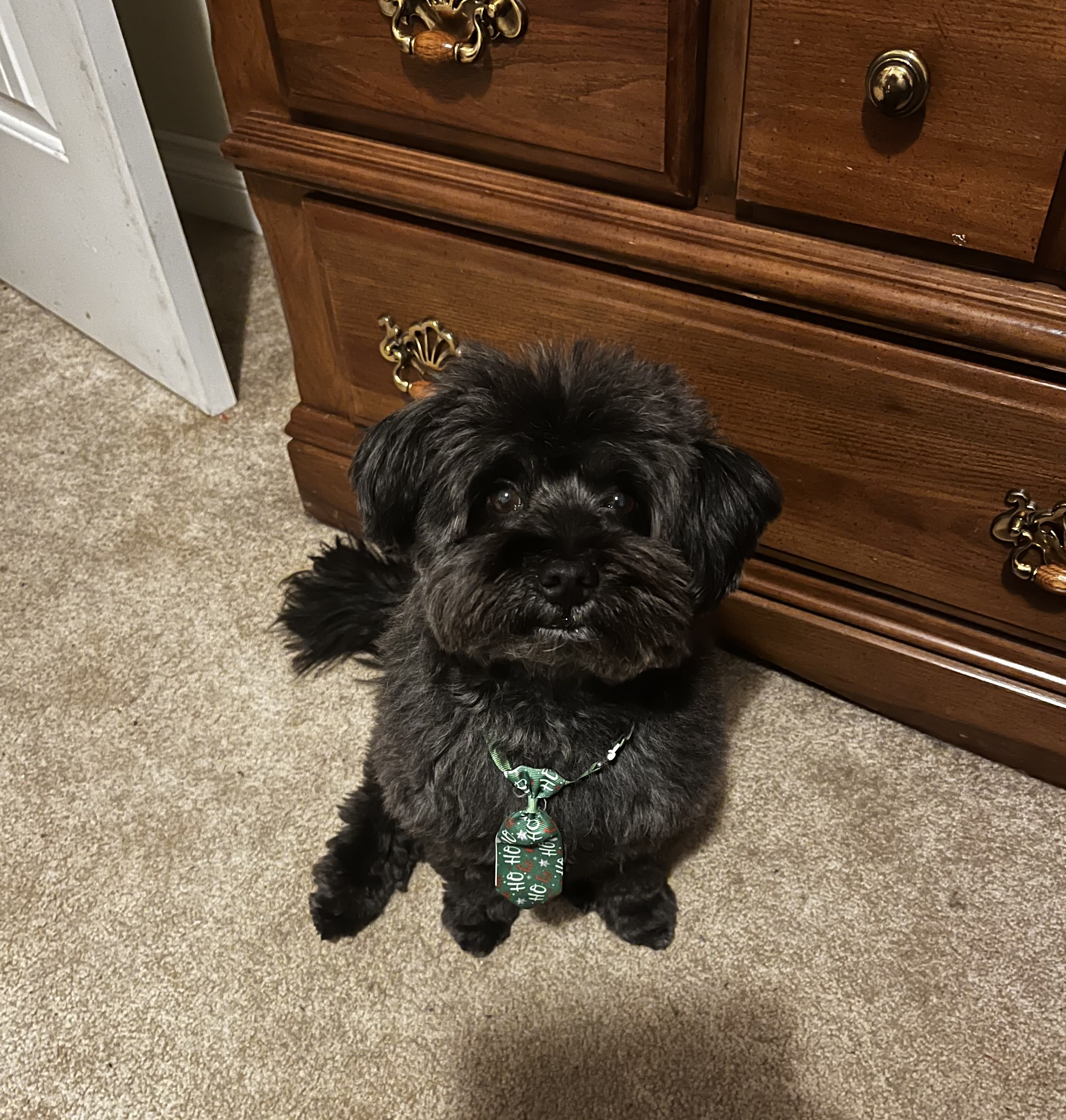 Slinky