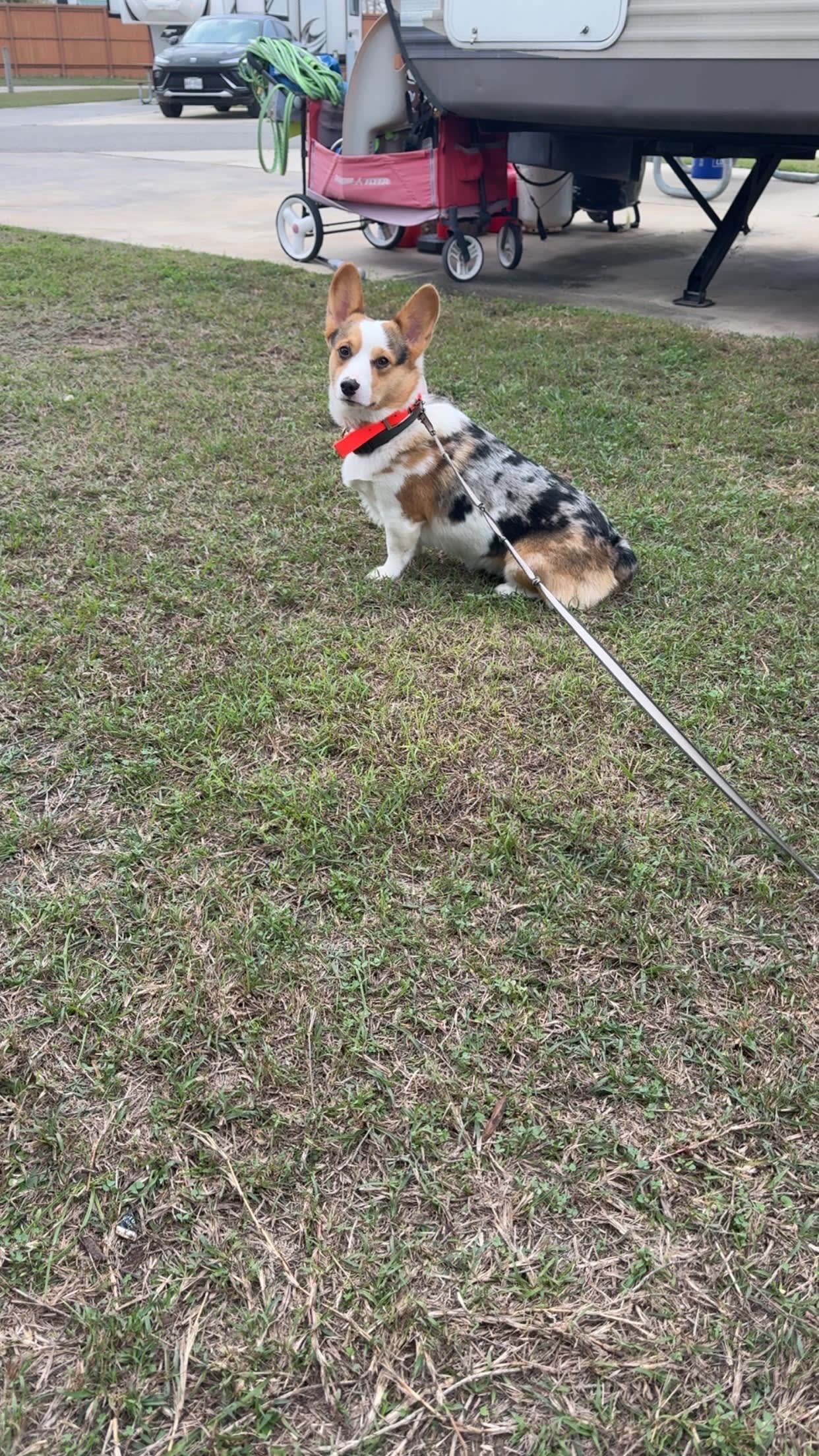 Chopper