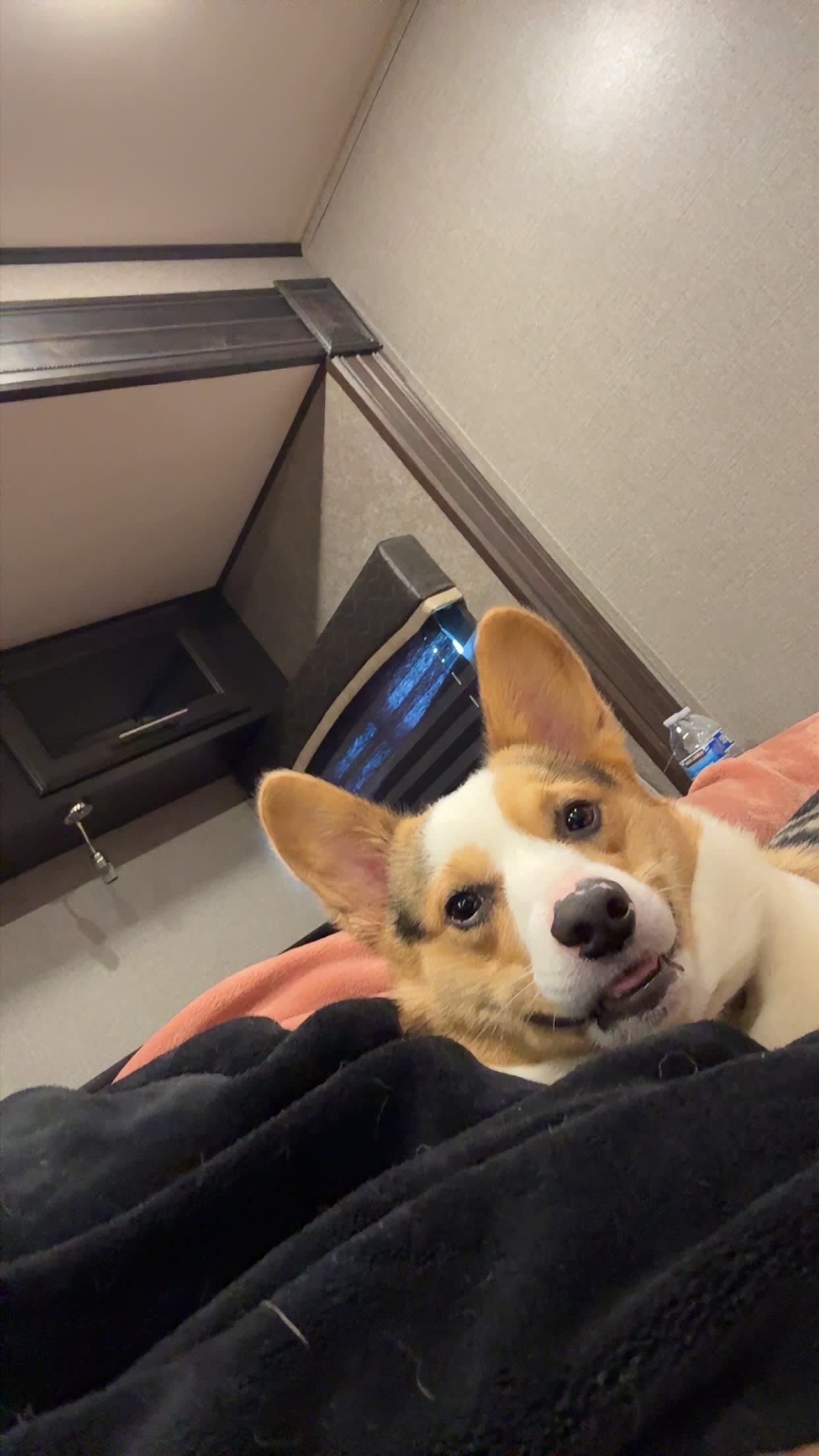 Chopper
