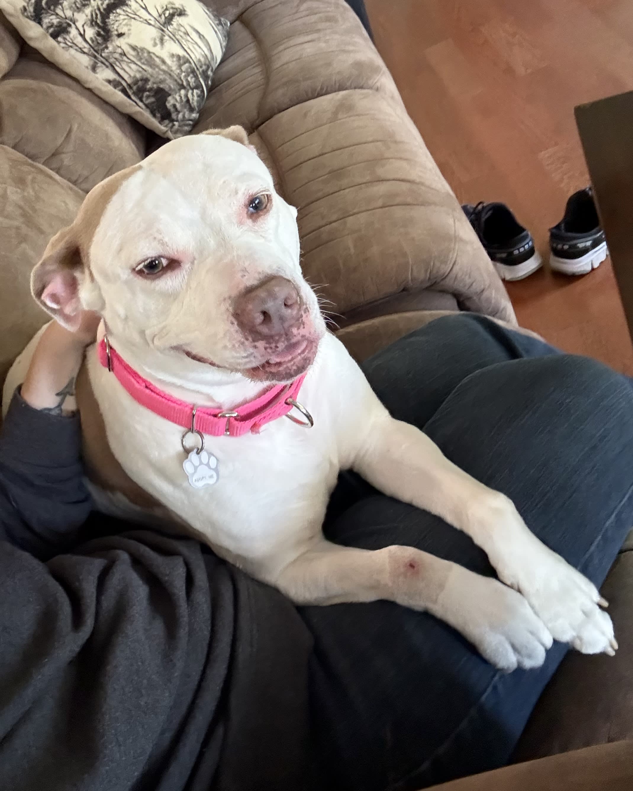 Josie