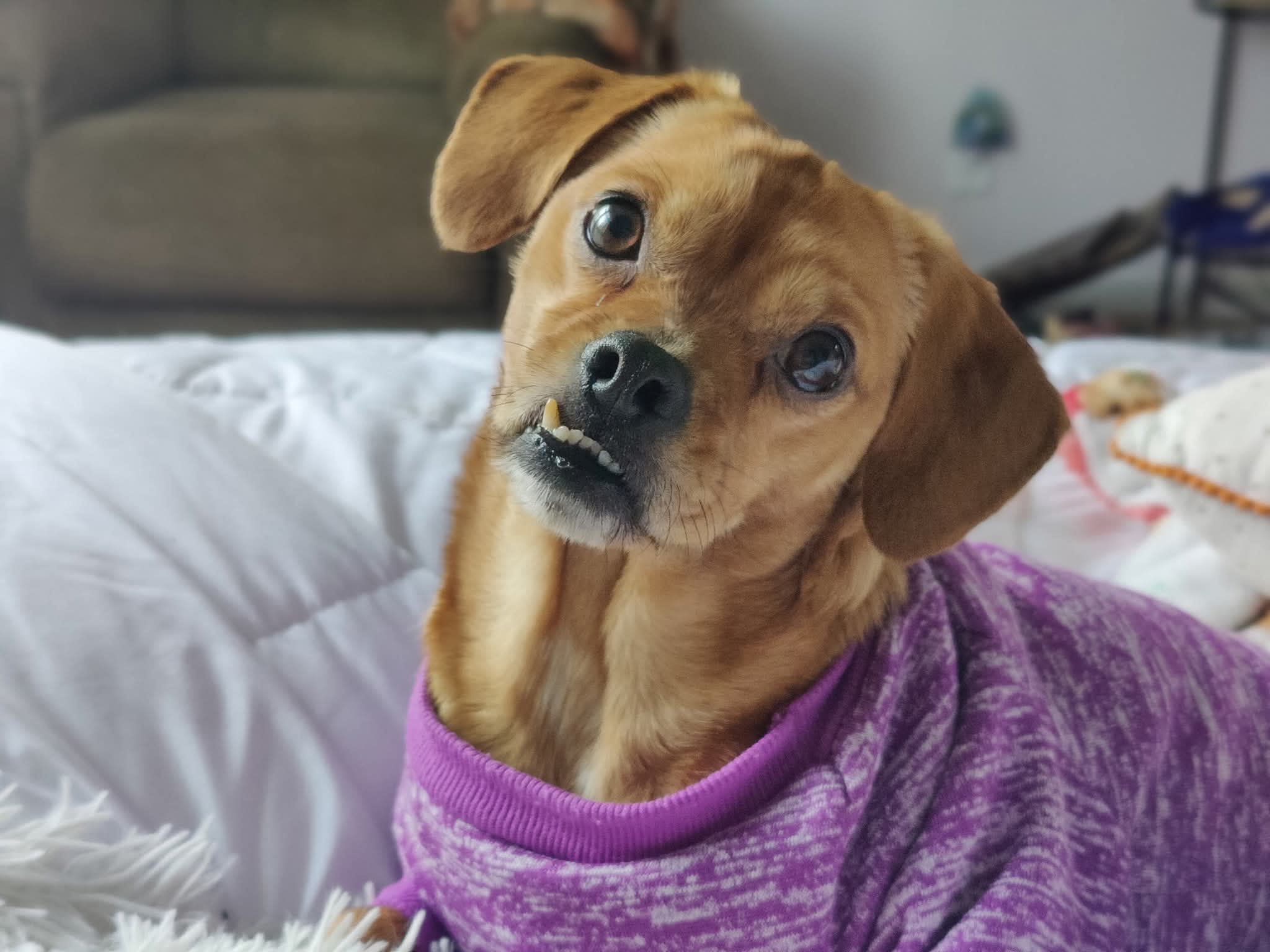 LeeLoo Dallas Multi-Pass