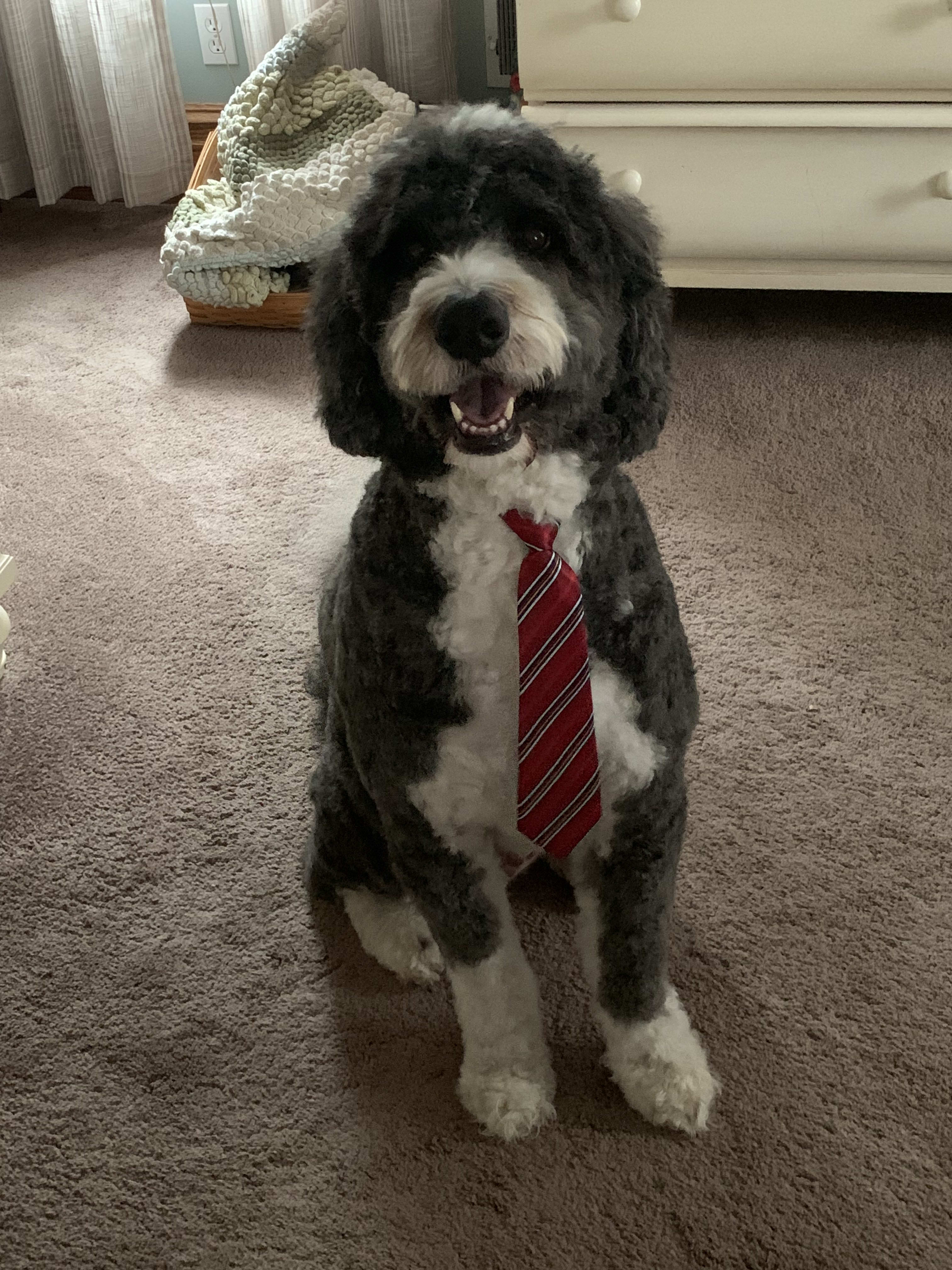 Max