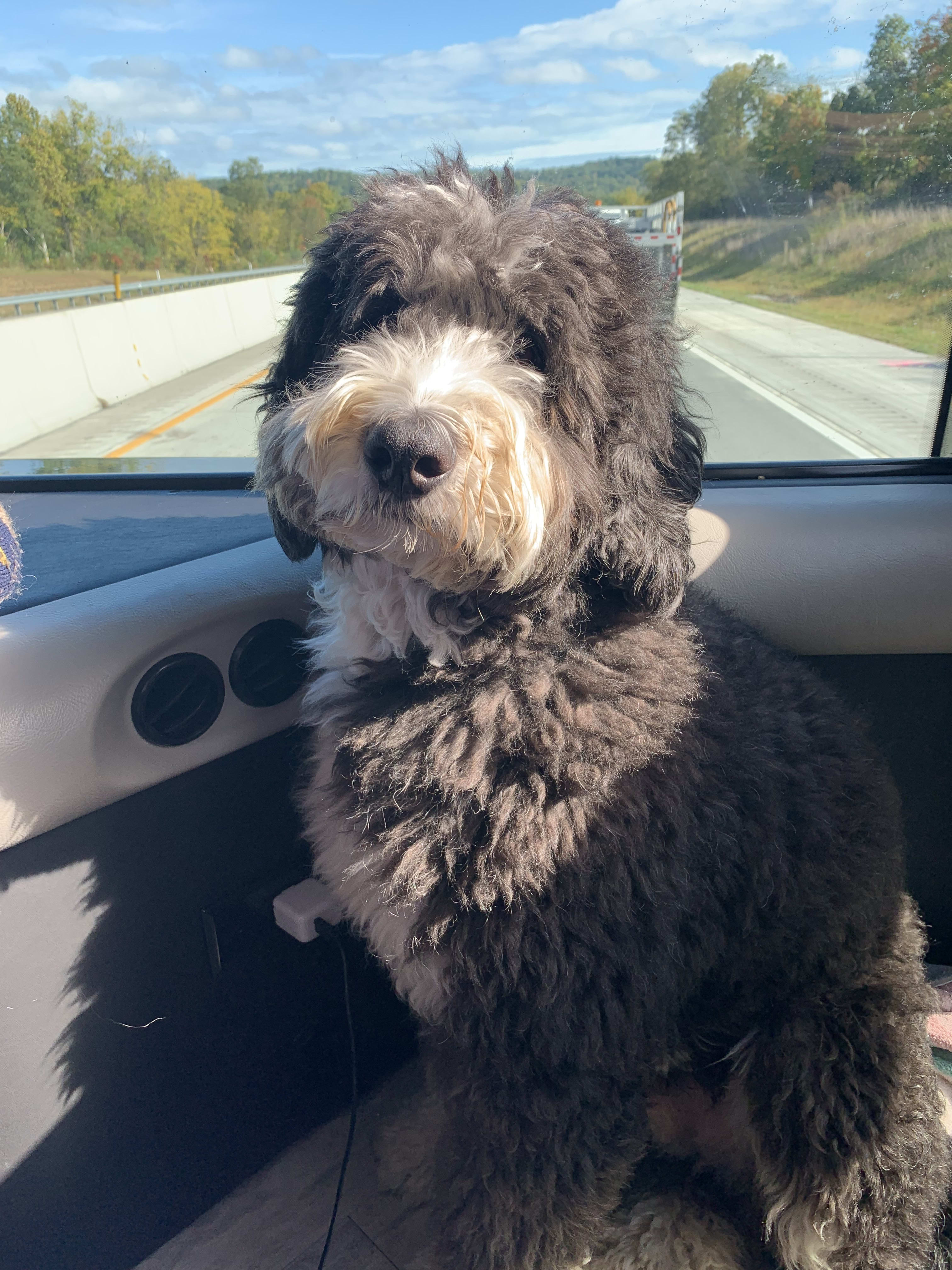 Max